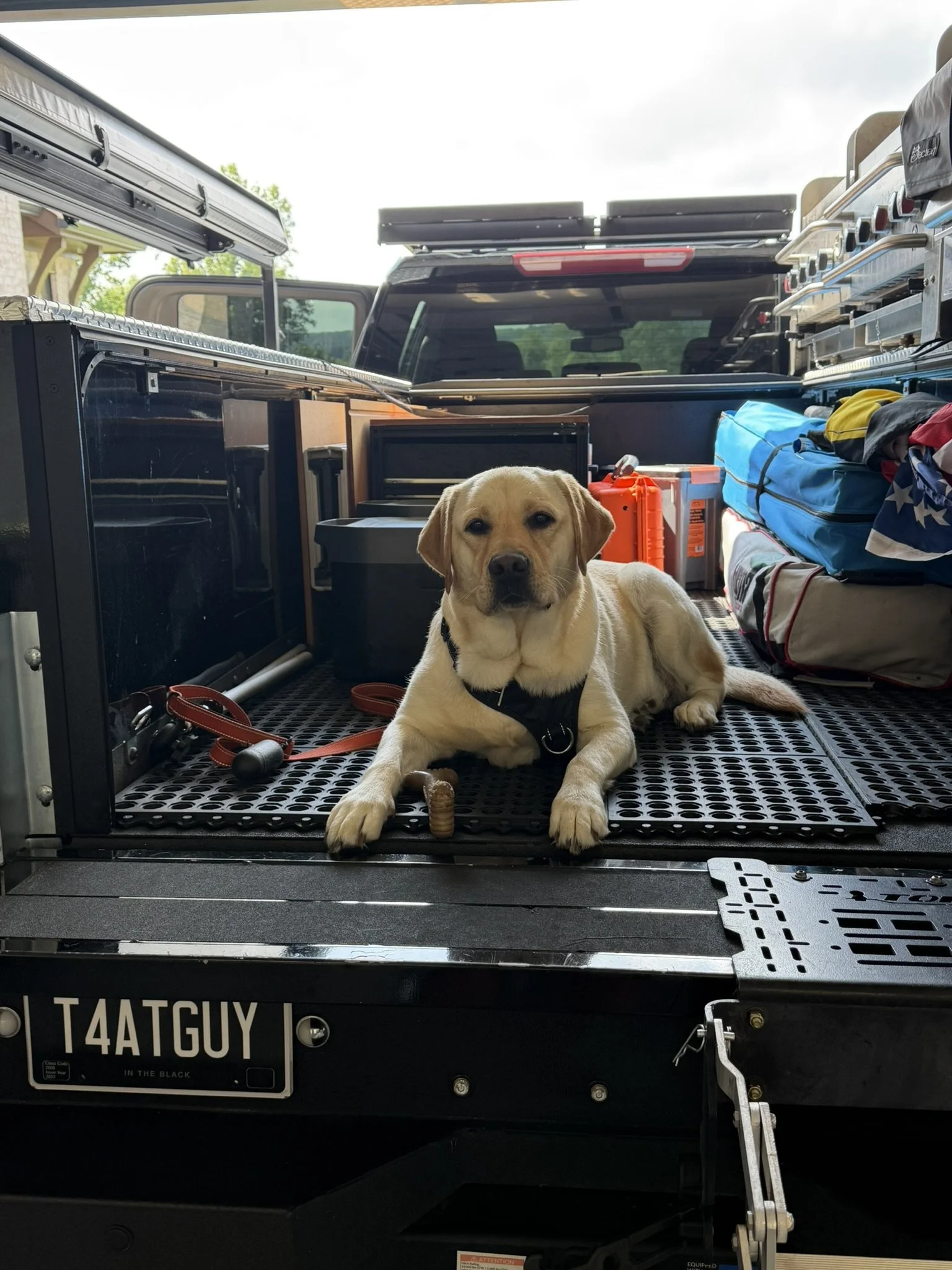 Cooper in Truck.JPEG