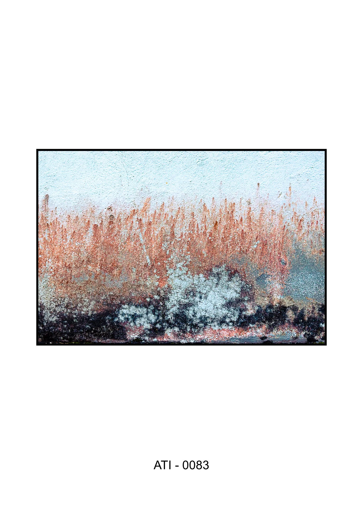 ATI --083.jpg