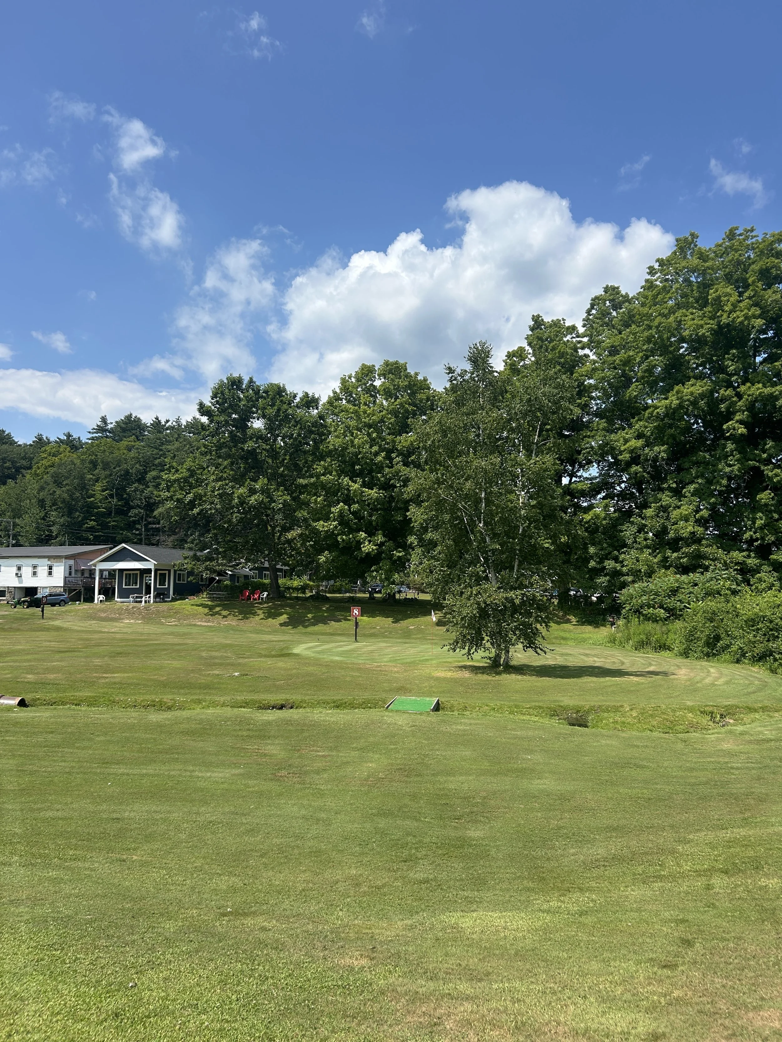 Goodnows Chip & Putt is a golf course with well-maintained grass, surrounded by trees and small houses in the background under a partly cloudy blue sky.