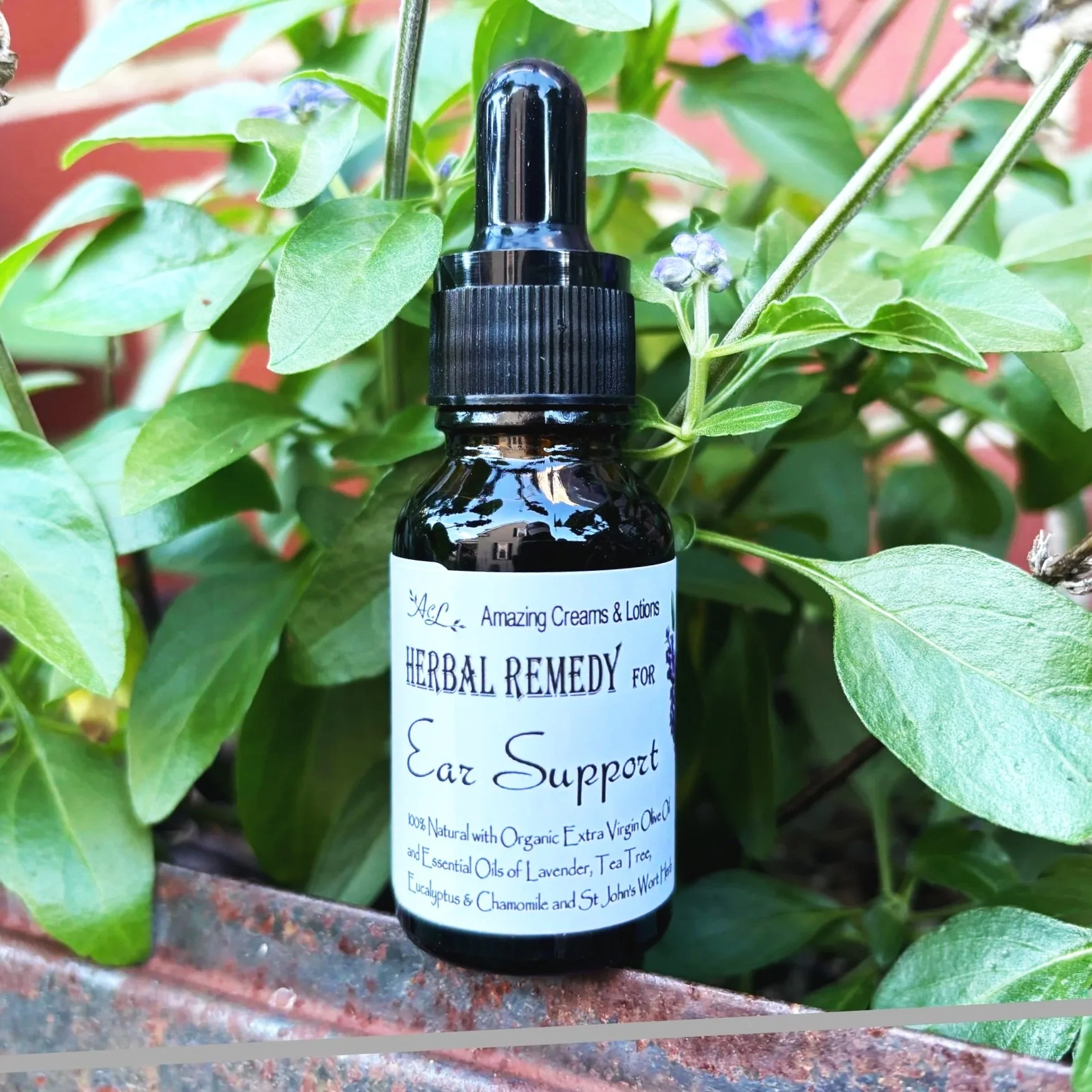 Herbal Ear Remedy
