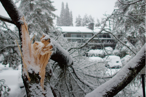 Avoid Price Gouging After a Storm