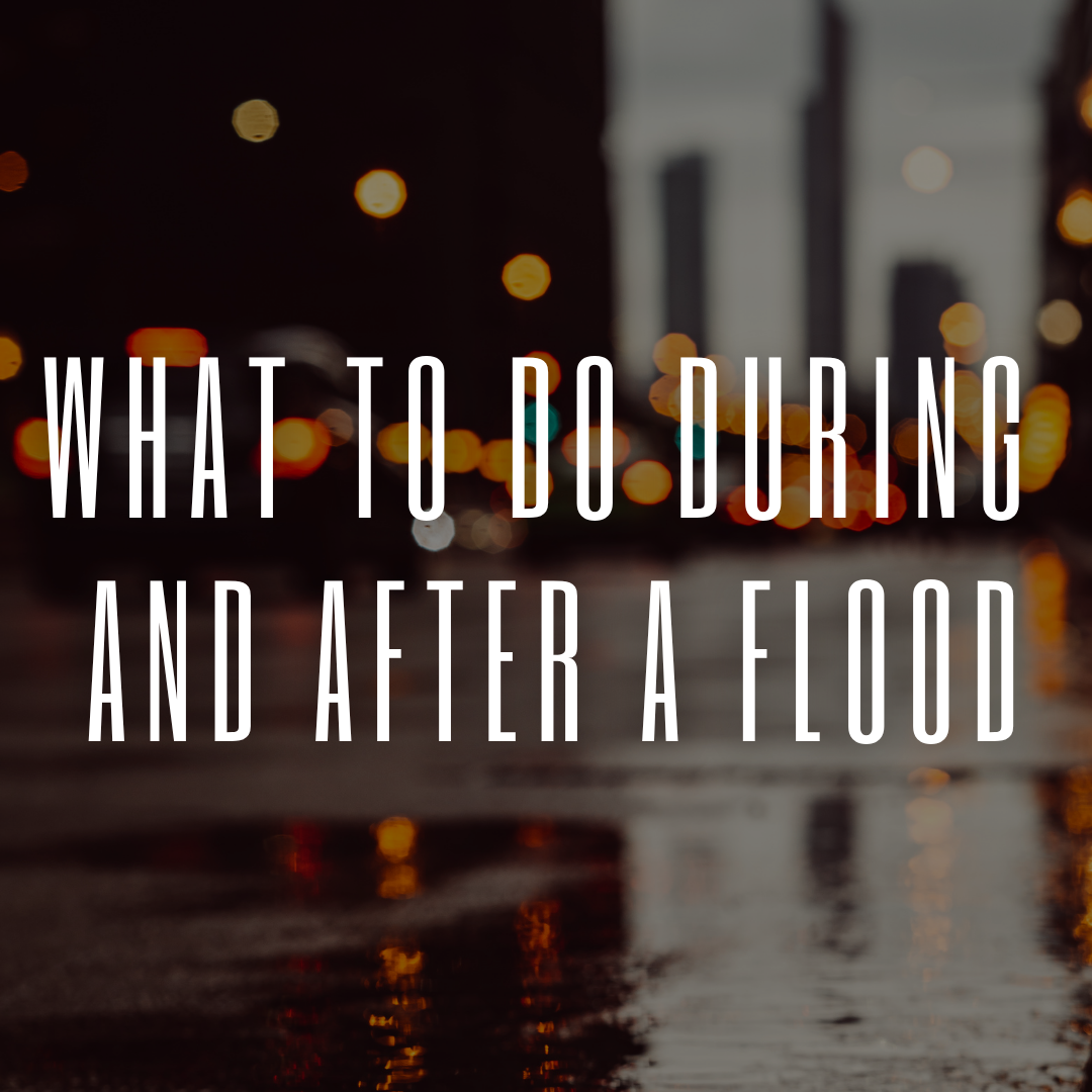 What to Do During and After a Flood