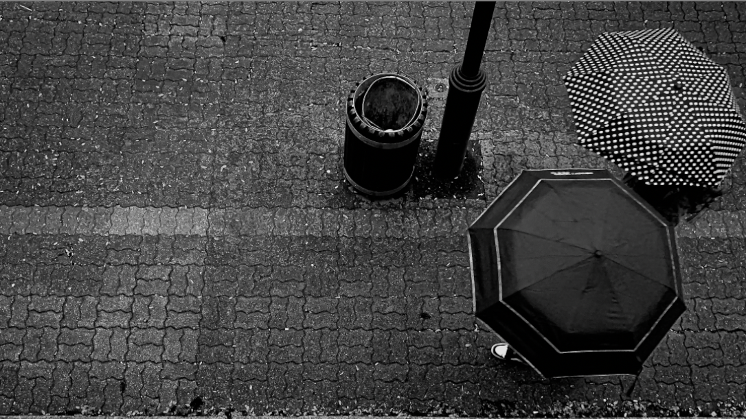 Montreal, umbrellas, birds eye, photography