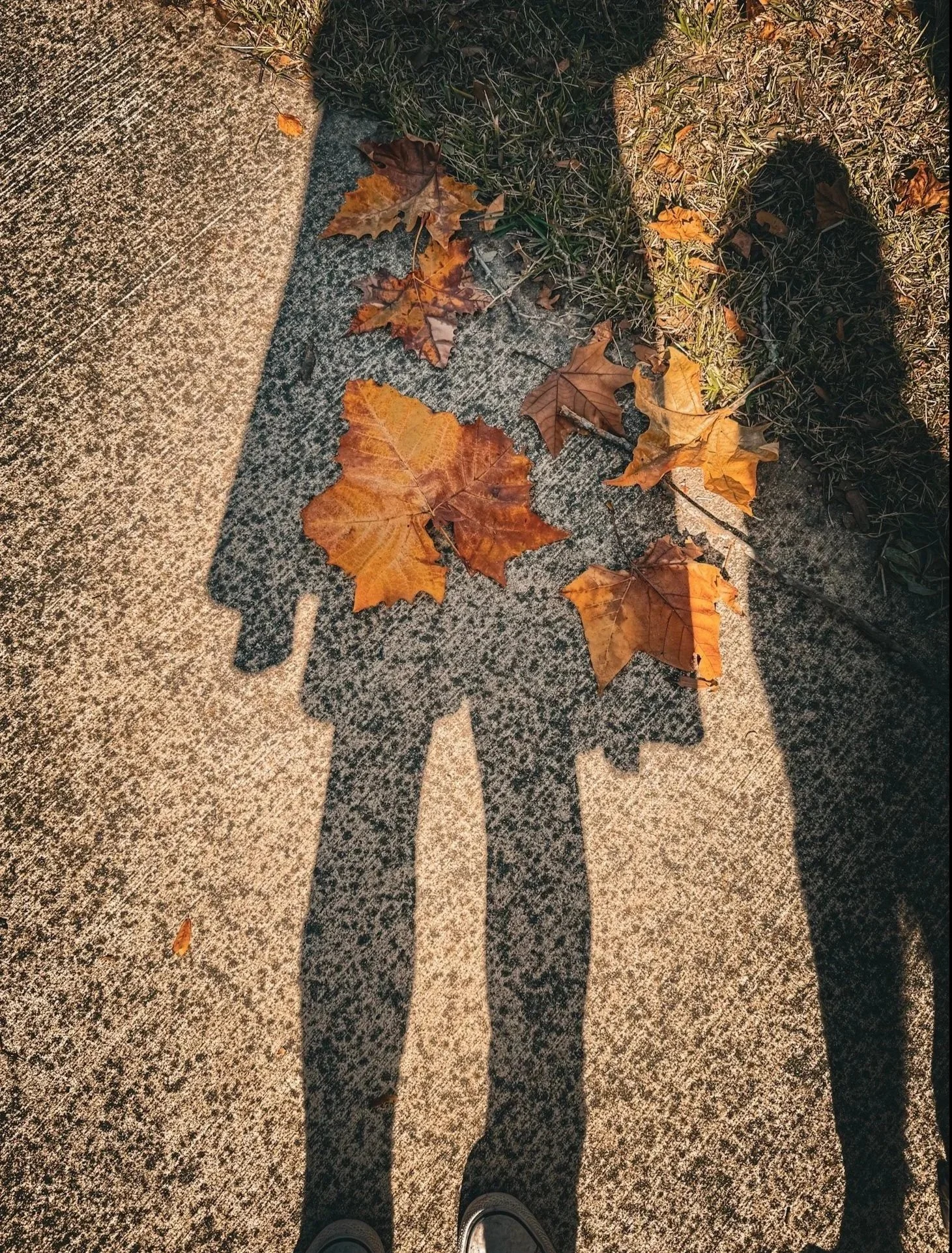 Shadow of a person and a dog on a textured sidewalk with autumn leaves scattered, with grass and a concrete curb in view.