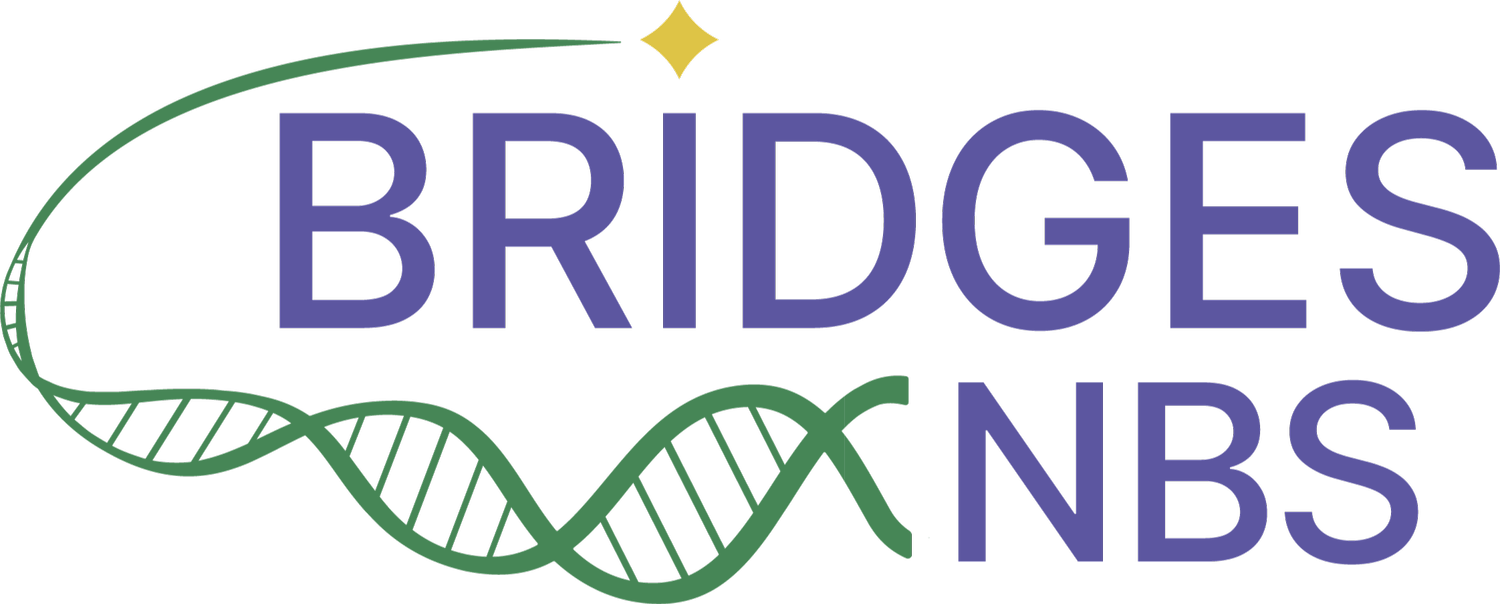BRIDGES-NBS
