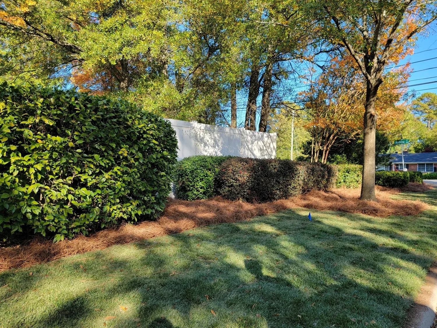 A landscaped yard with green bushes, a large tree, and a white fence, with a house in the background.