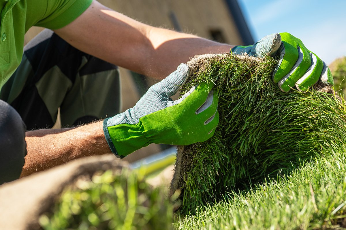 A person wearing green gloves is laying sod on the ground, smoothing it out in a yard.