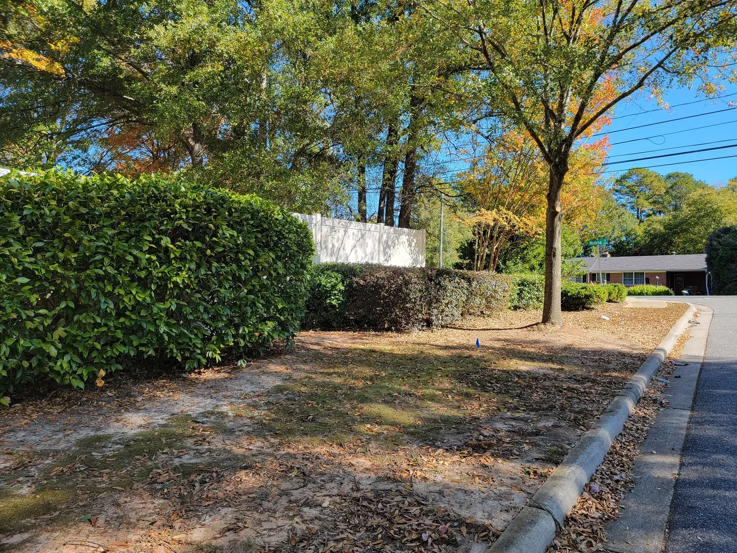 A residential neighborhood street with trees and bushes, a sidewalk, and a house in the background on a sunny day.