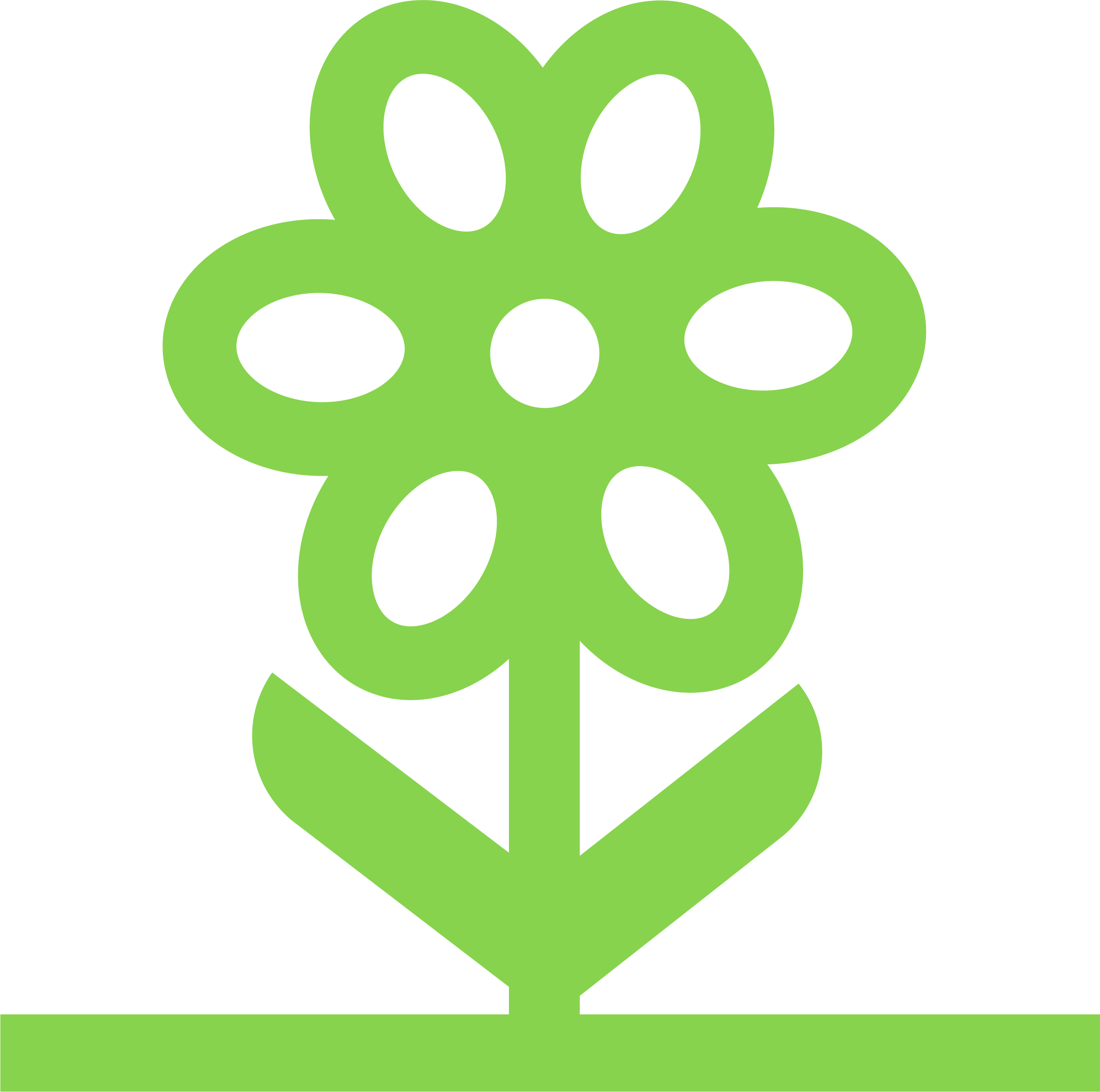 A light green flower icon