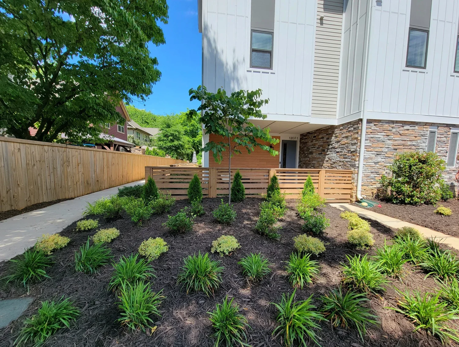 Front yard with a new landscaped, with young trees, shrubs, and a sidewalk, adjacent to a modern white and brick house under a clear blue sky.