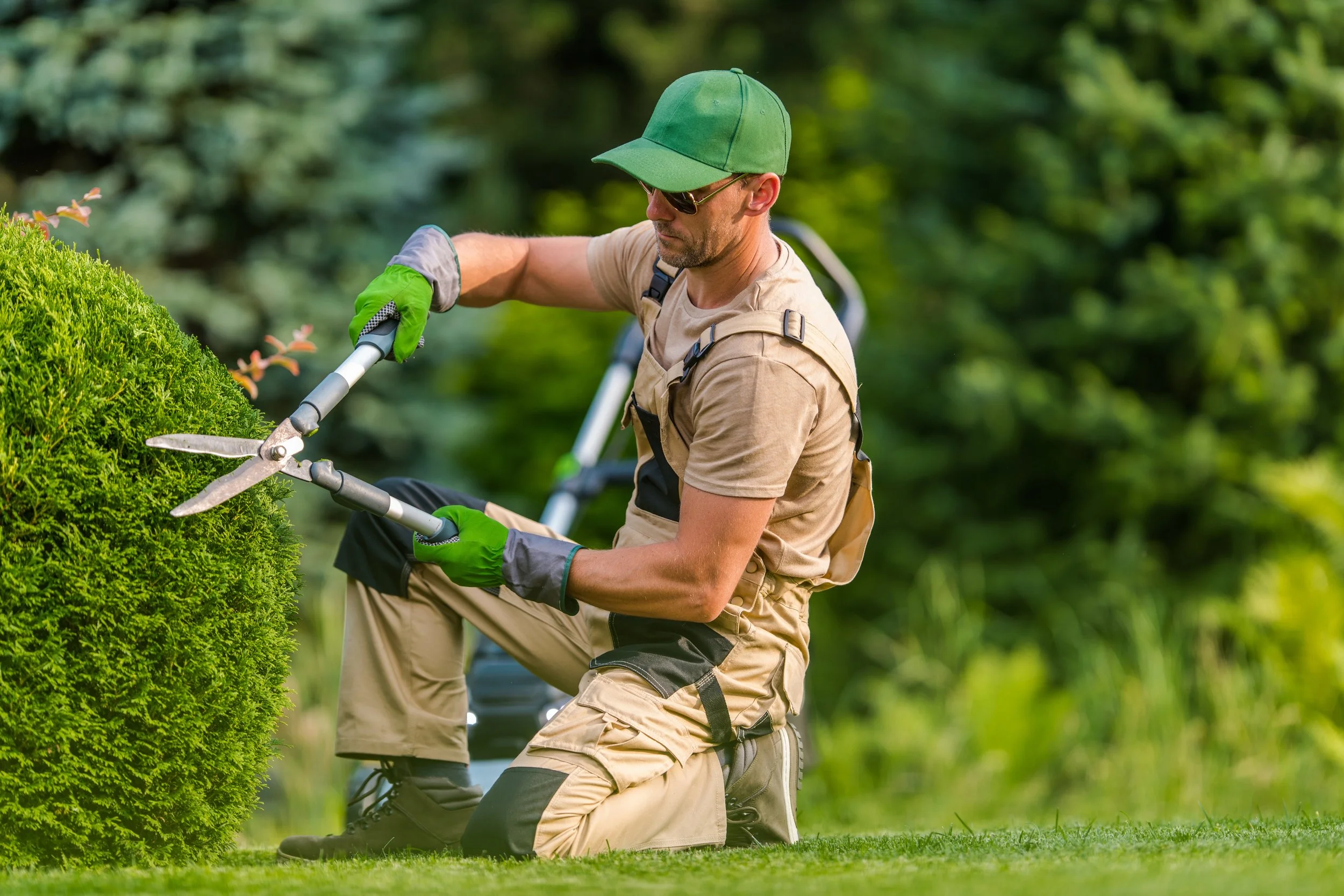 Worker Trimming Bushes