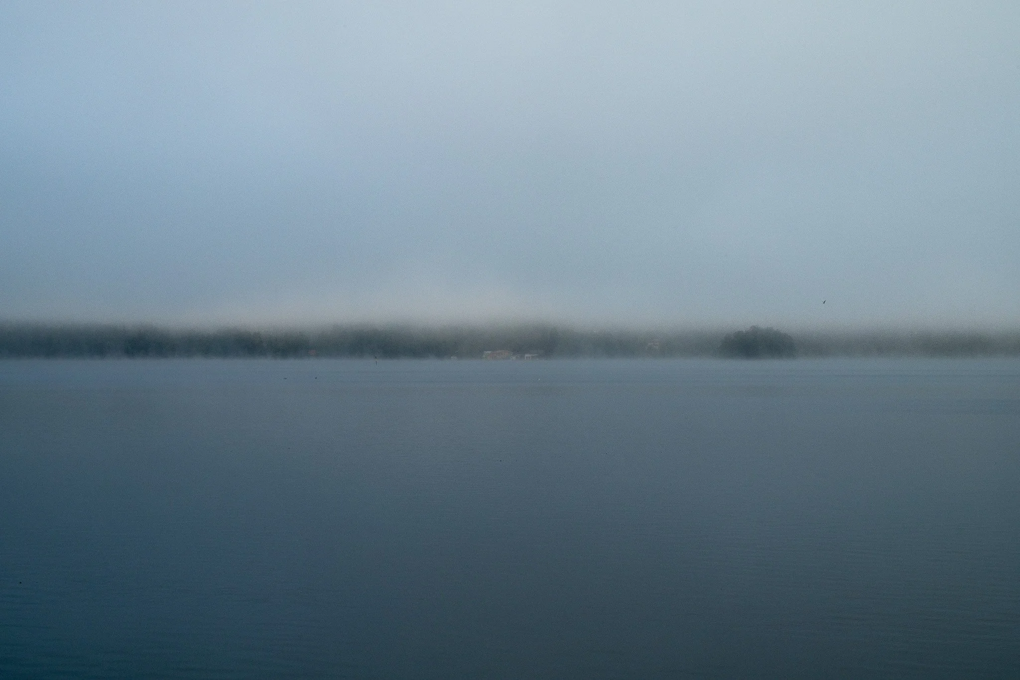 DSC_0308-3-2.jpg