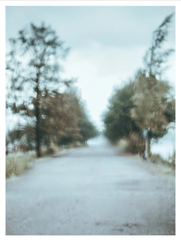 Windy day