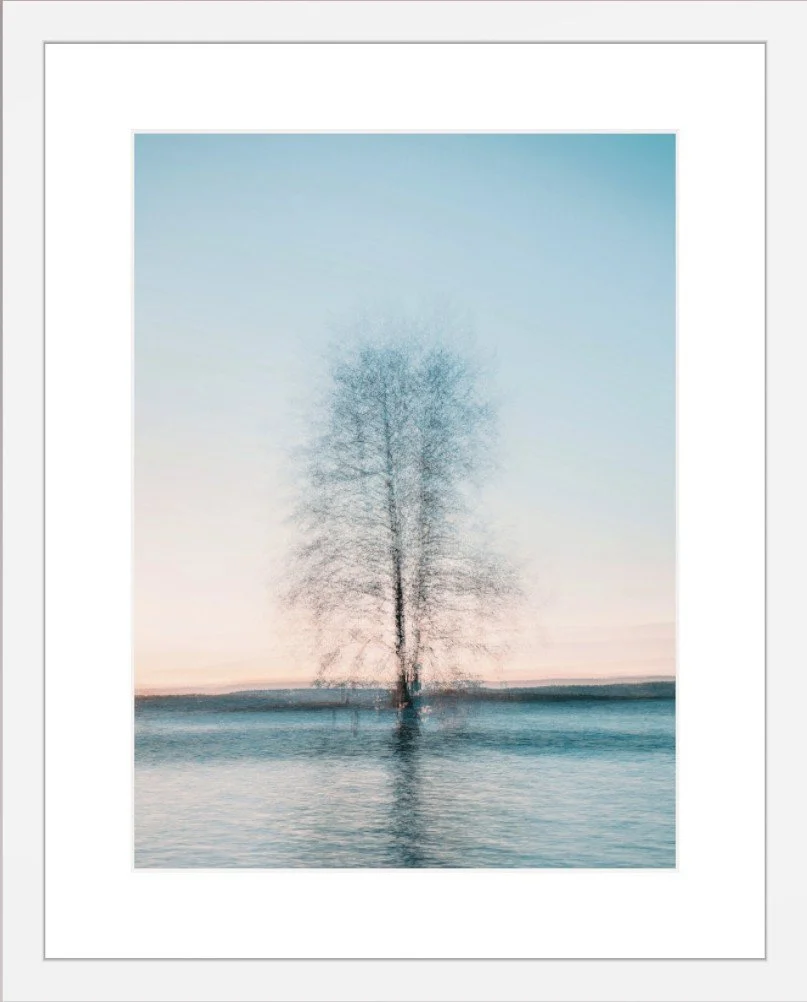 Tree2.jpg
