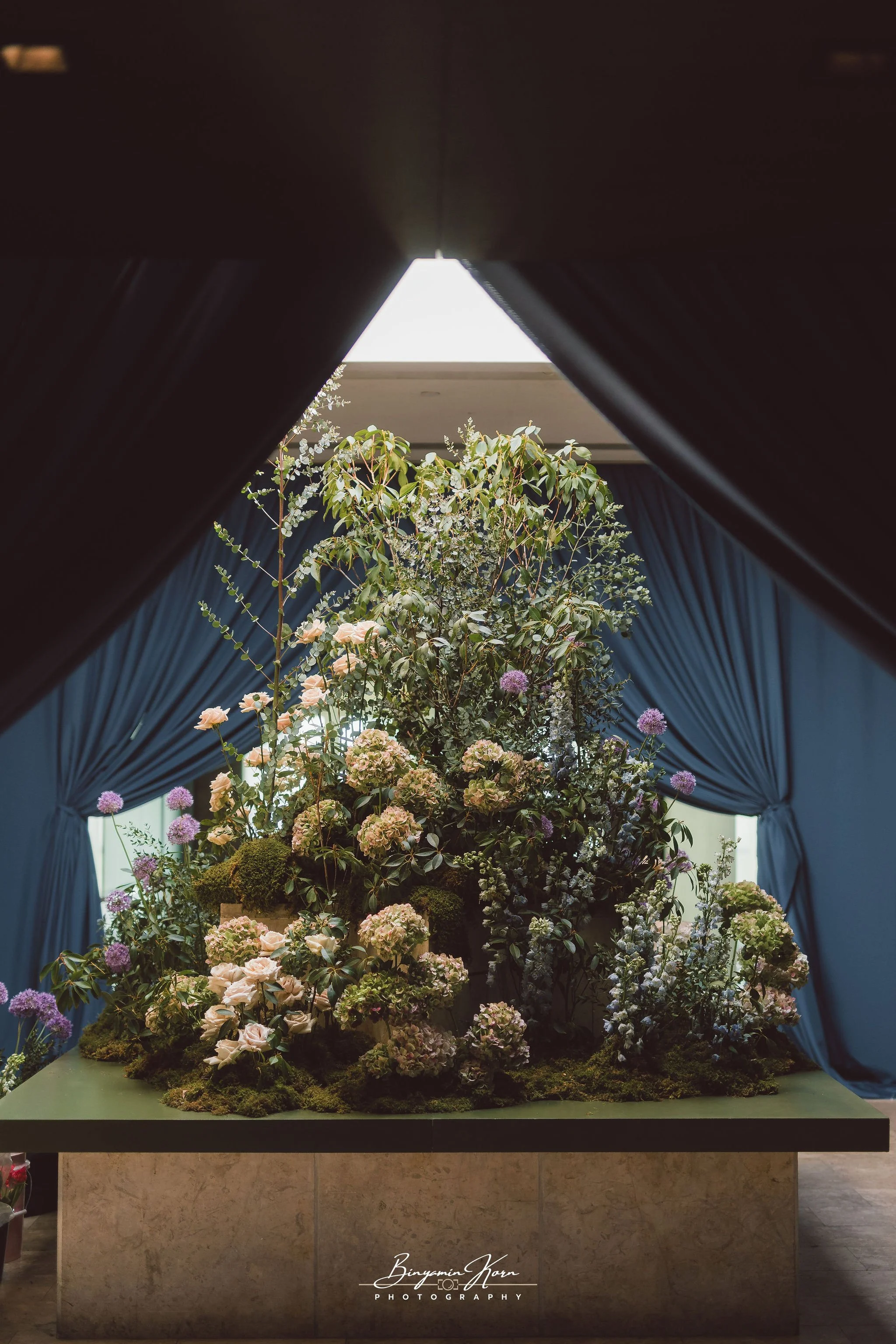BinyaminKornPhotography-0707.jpg