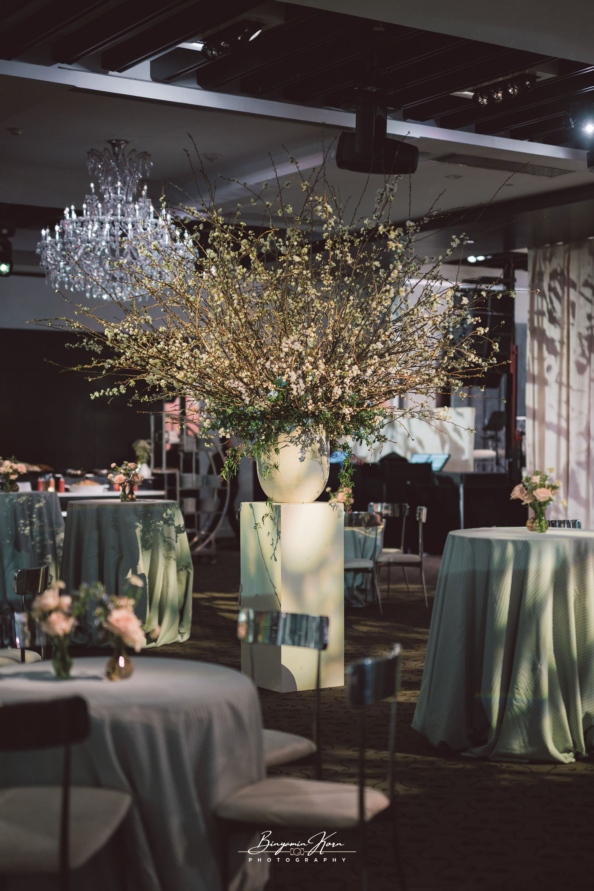 BinyaminKornPhotography-5180.jpg