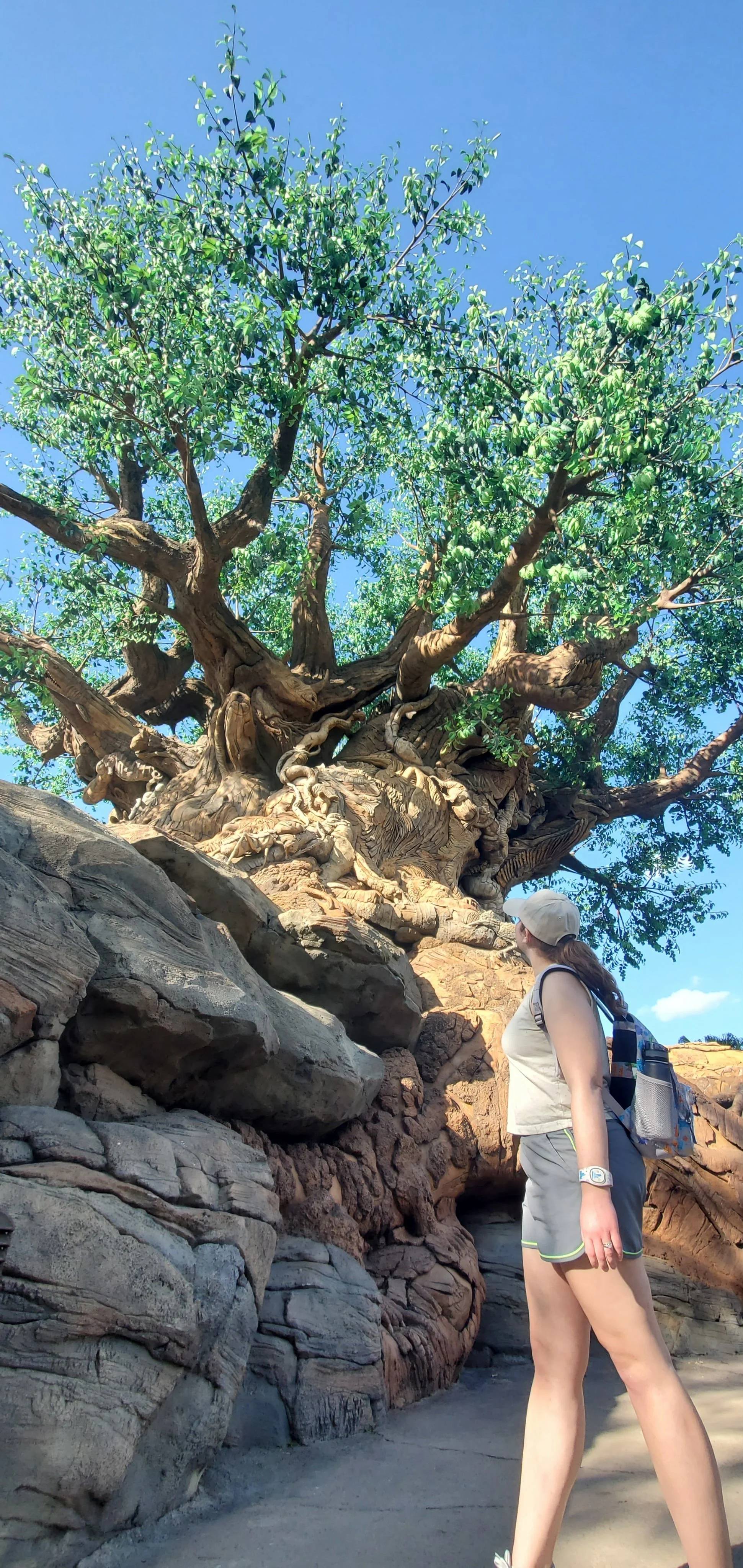 Sarah at Animal Kingdom in Disney World