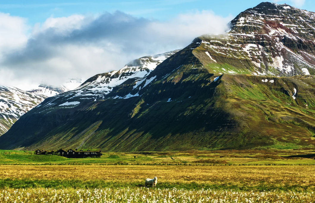 Iceland: Eleven Deplar Farm, Troll Peninsula
