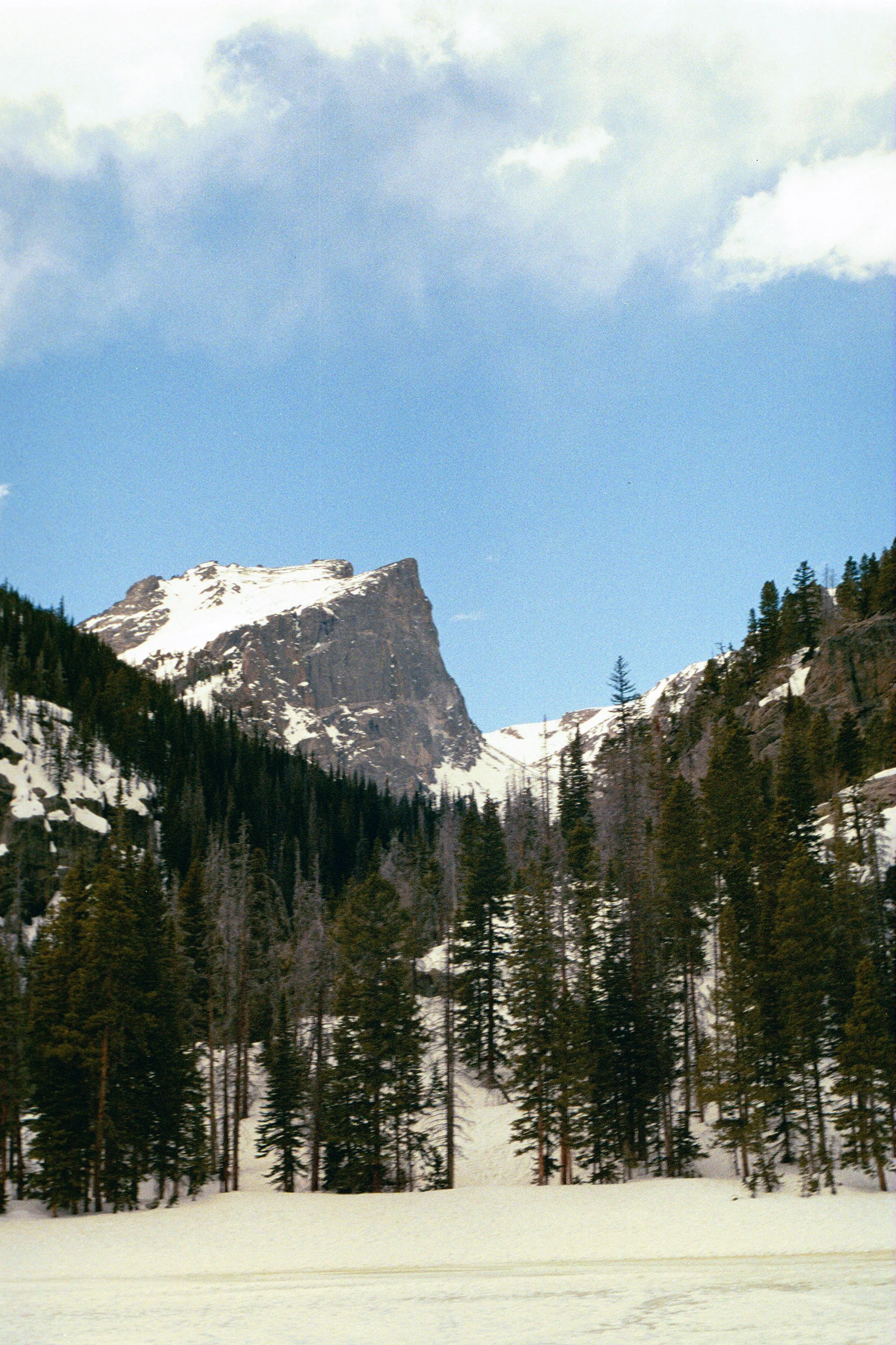IMG_8059.JPG