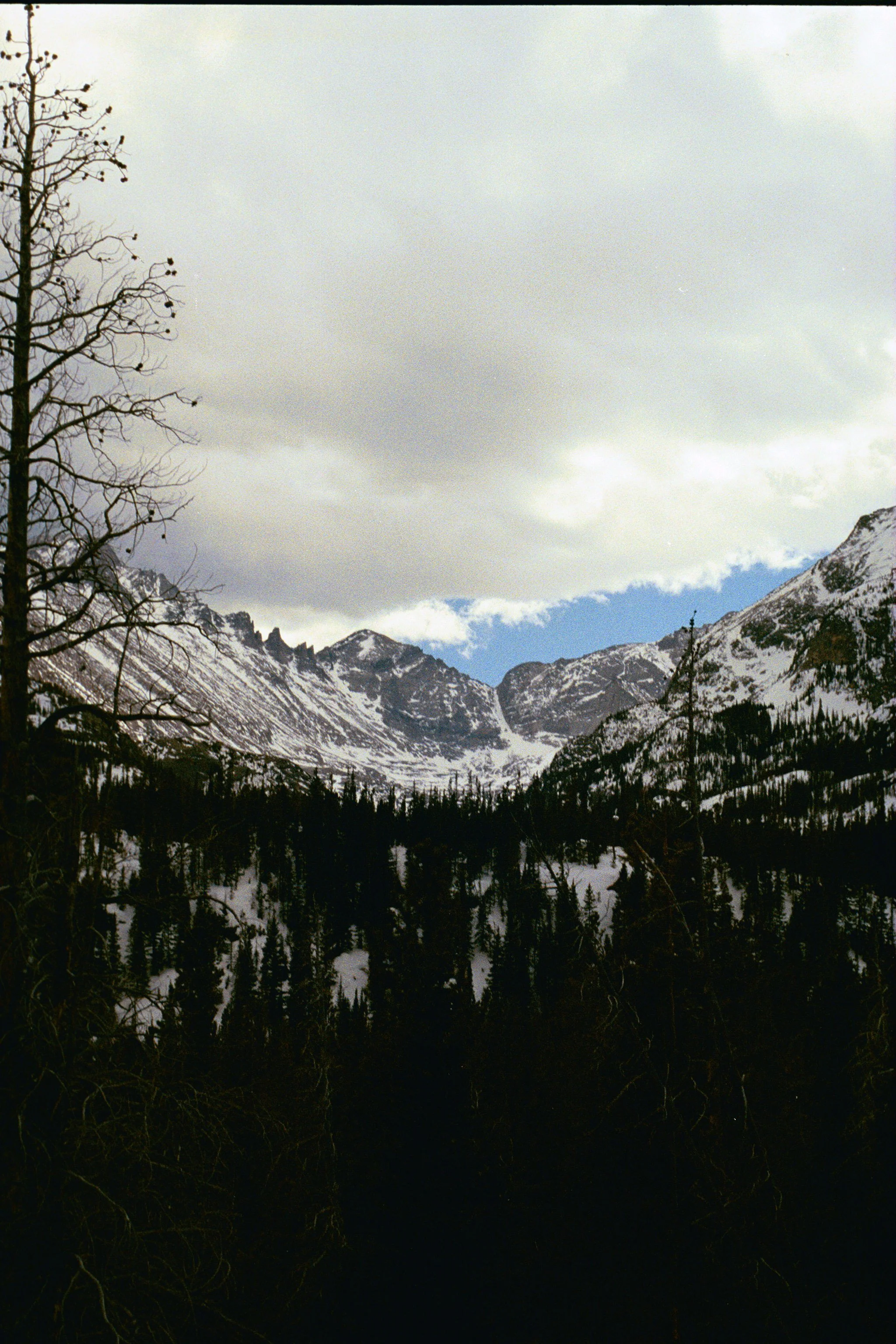 IMG_8058.JPG
