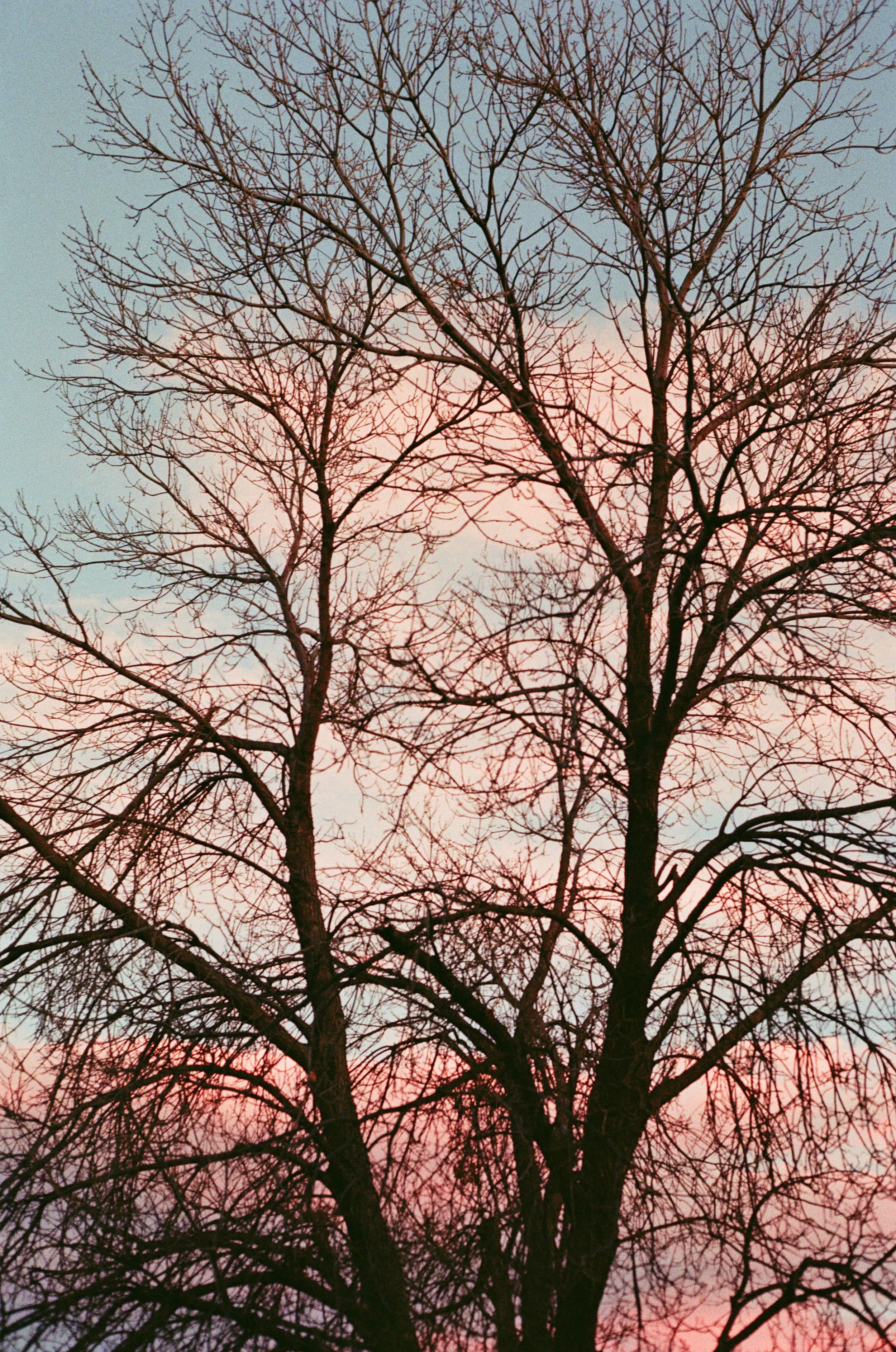260410000142880021-2.jpg