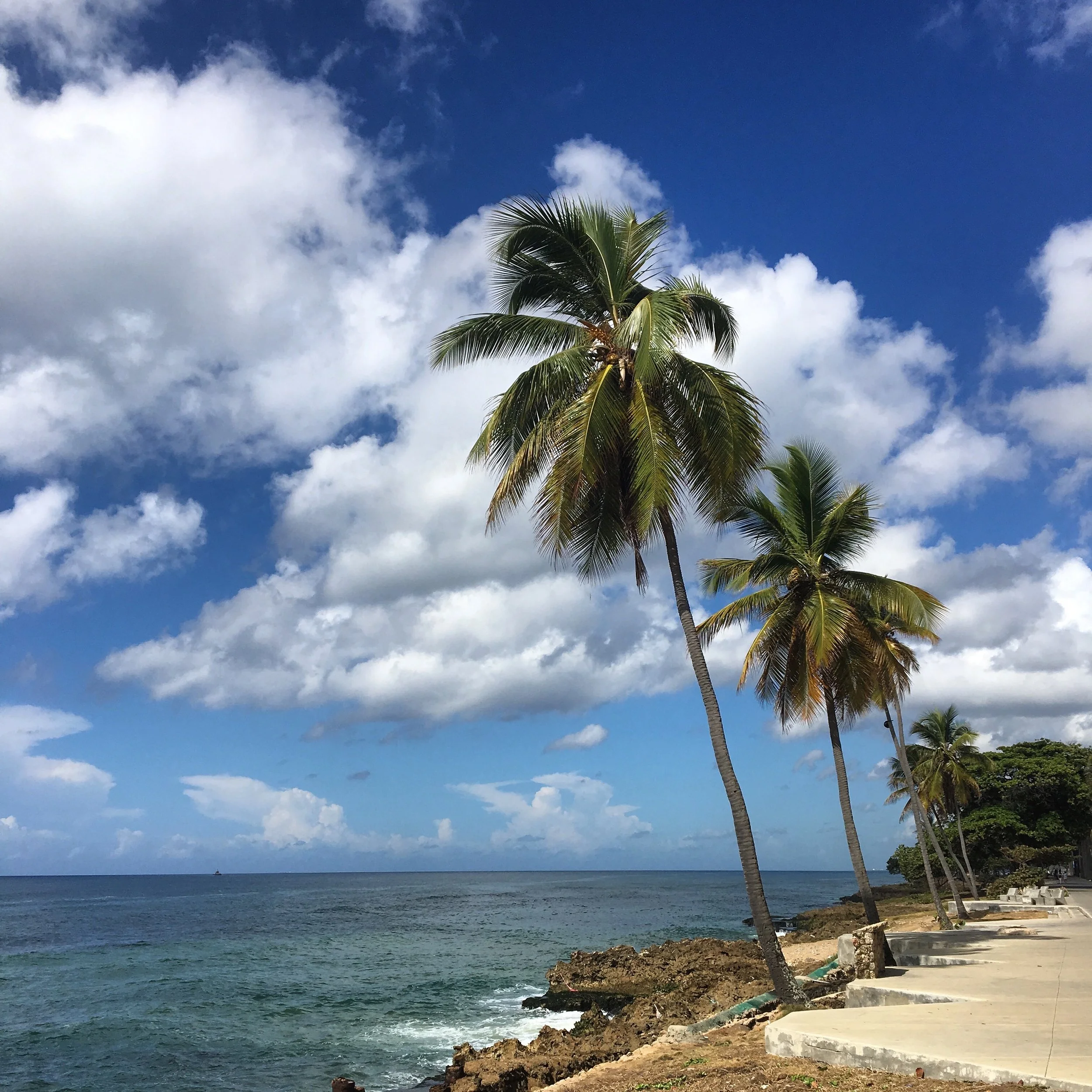 Photos from Fieldwork-DR