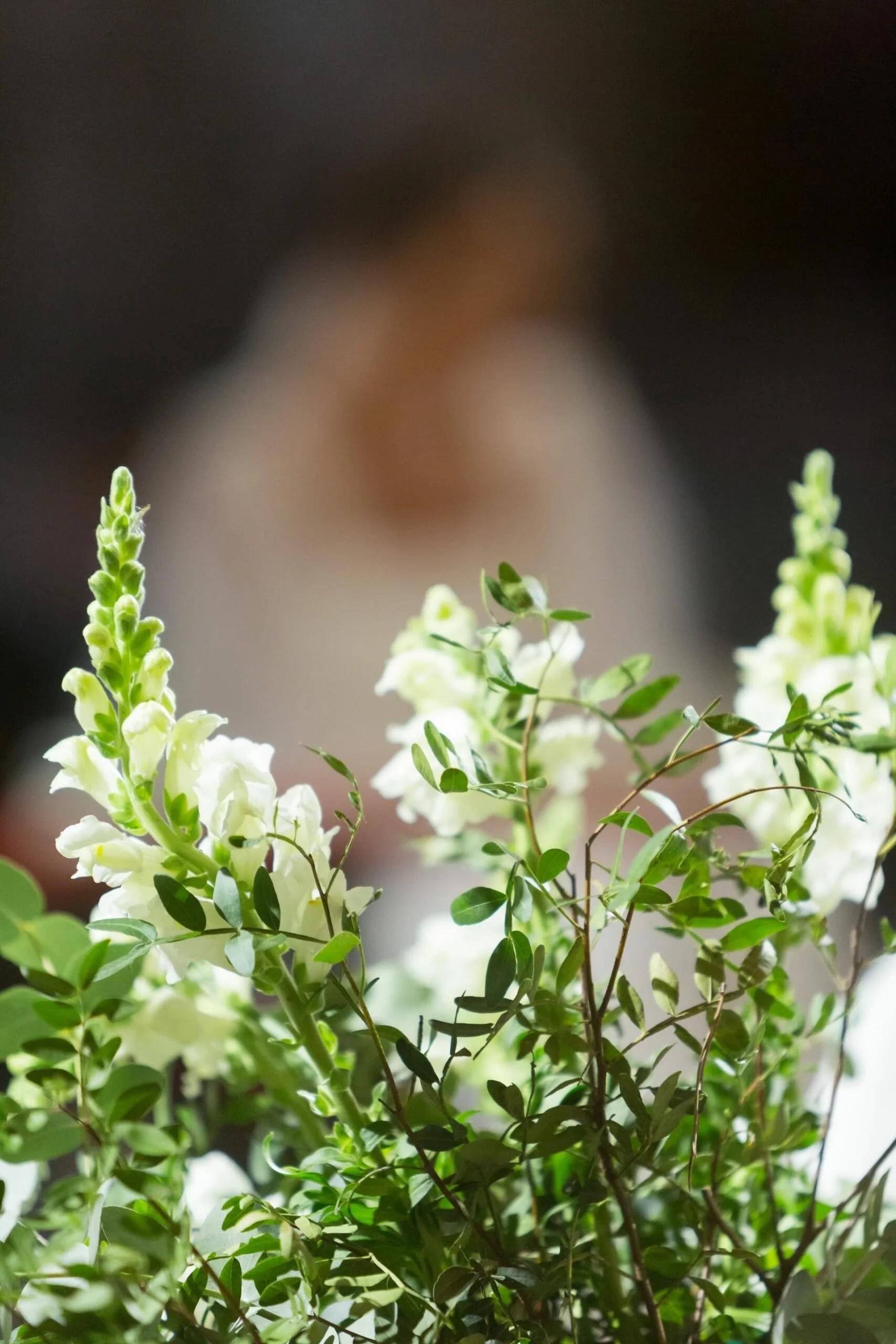 Fleurs blanches et feuillage vert dans un arrangement floral, avec une personne floue en arrière-plan.