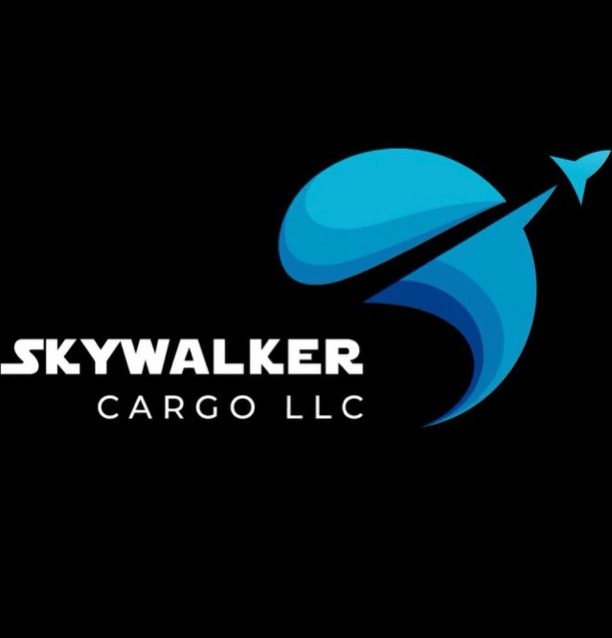 Skywalker Cargo LLC
