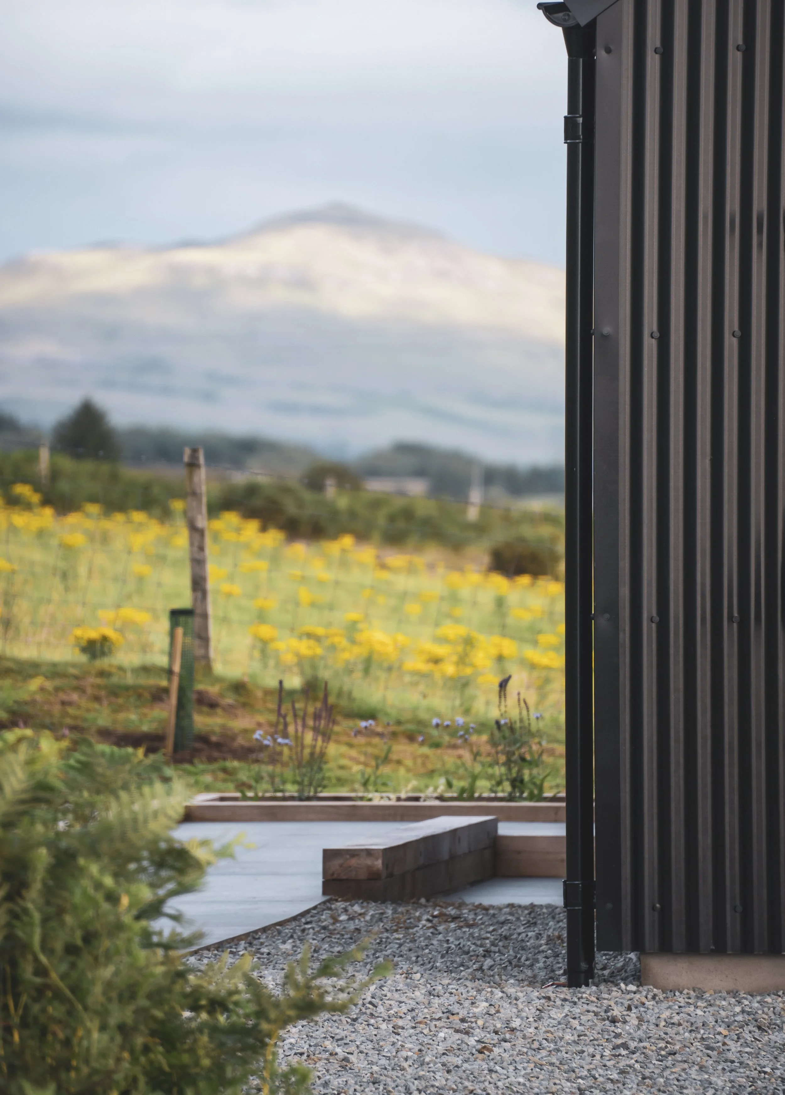View of a modern building exterior with a black metal wall on the right side and a garden with green plants and yellow flowers in the foreground, a gravel pathway, and a field with yellow flowers and a mountain in the background under a cloudy sky.