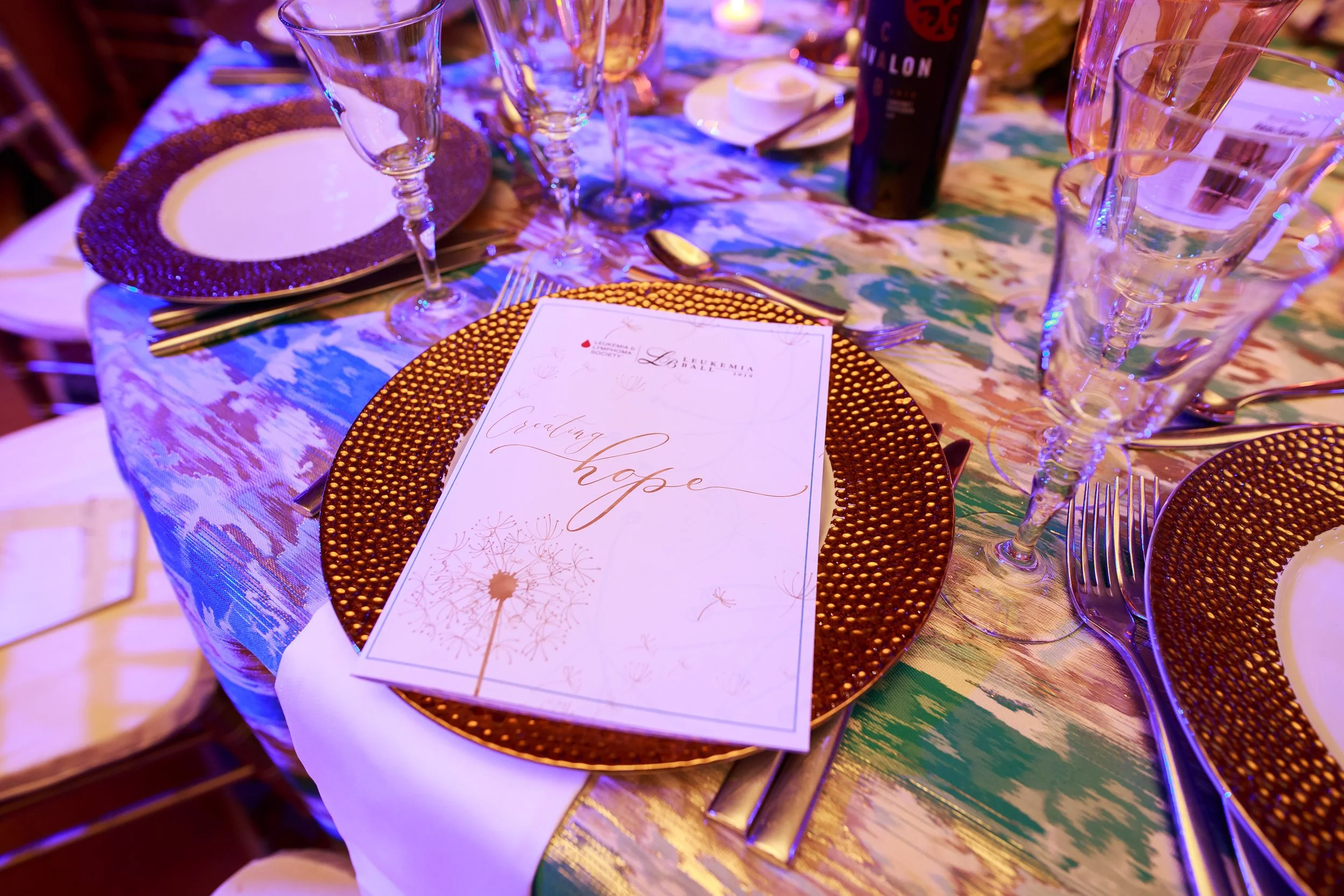 Leukemia_Ball_2019-23.jpg
