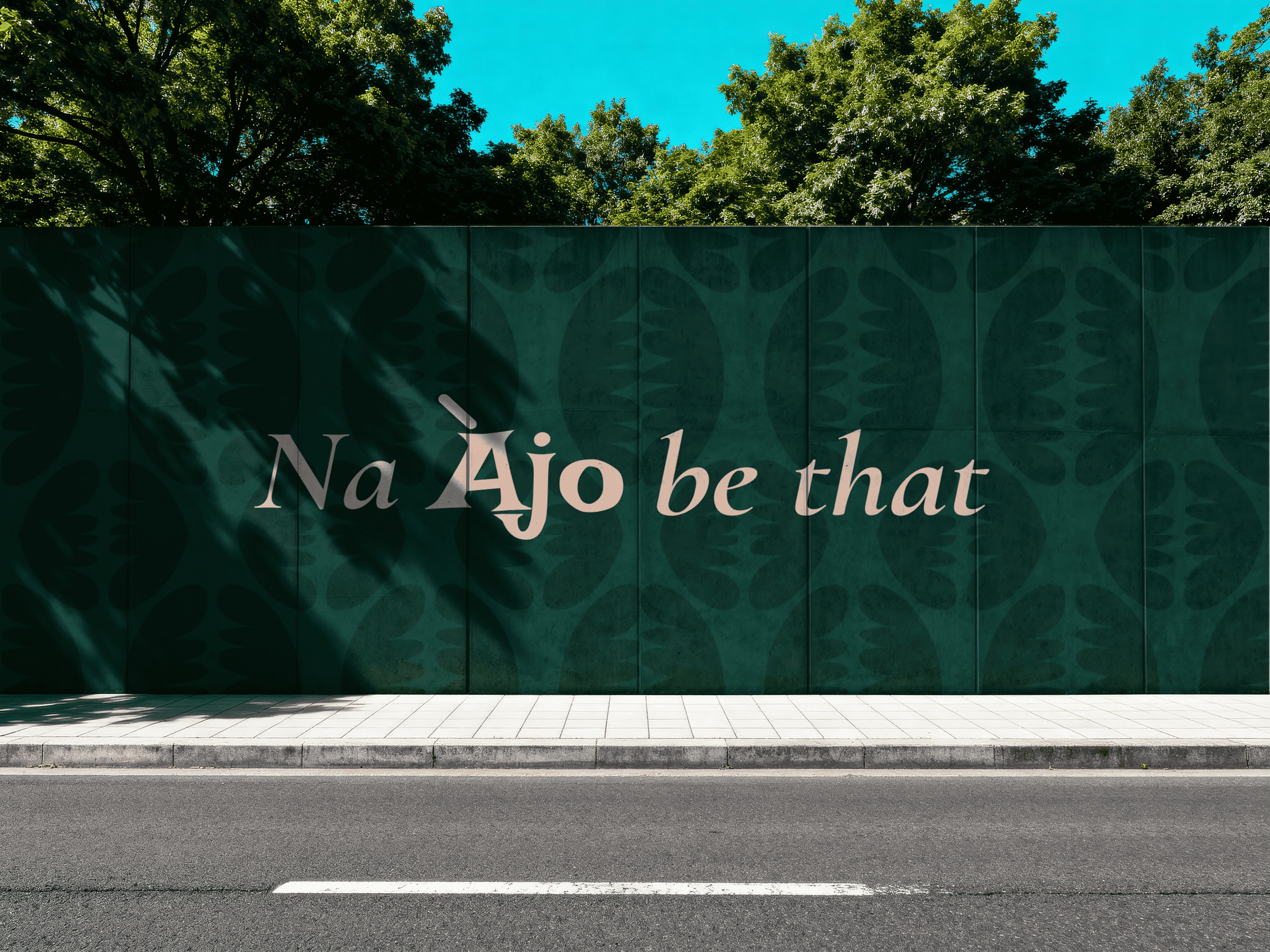 Ajo Case Study
