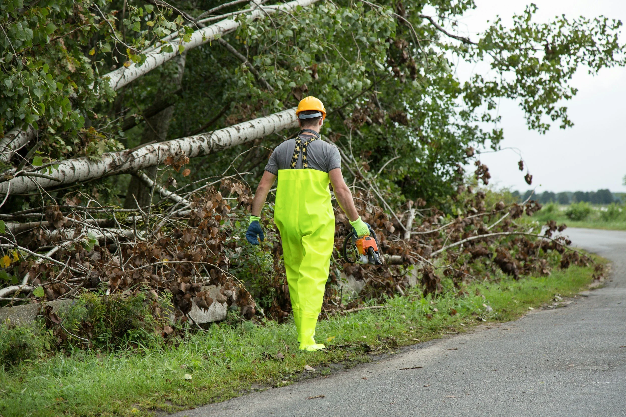 Mann mit Sicherheitshelm und Schutzkleidung bei Baum-Werkstatt, benutzt eine Kettensäge, steht neben umgestürzten Bäumen am Straßenrand.