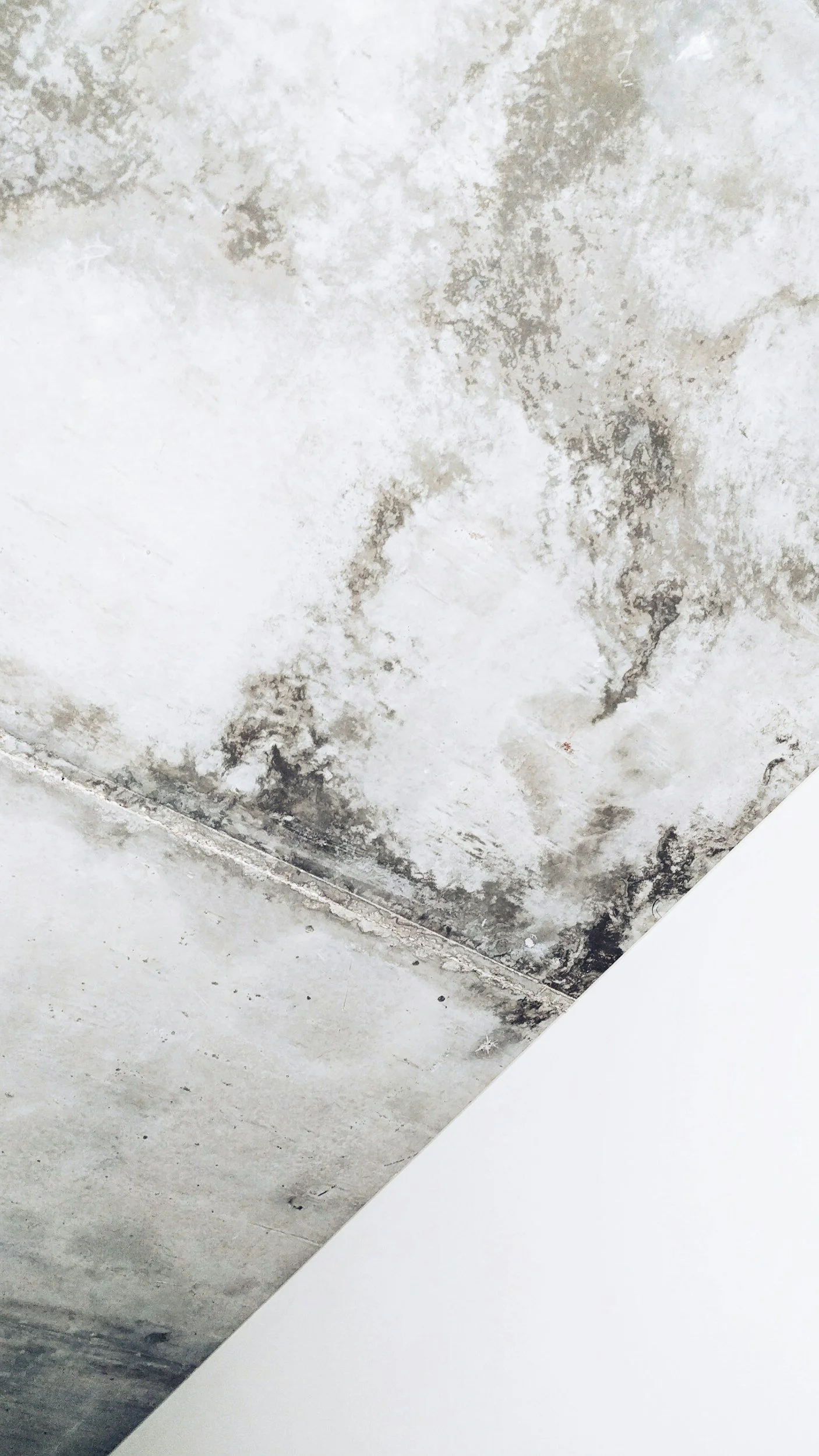 Schimmel auf der Wand im Badezimmer