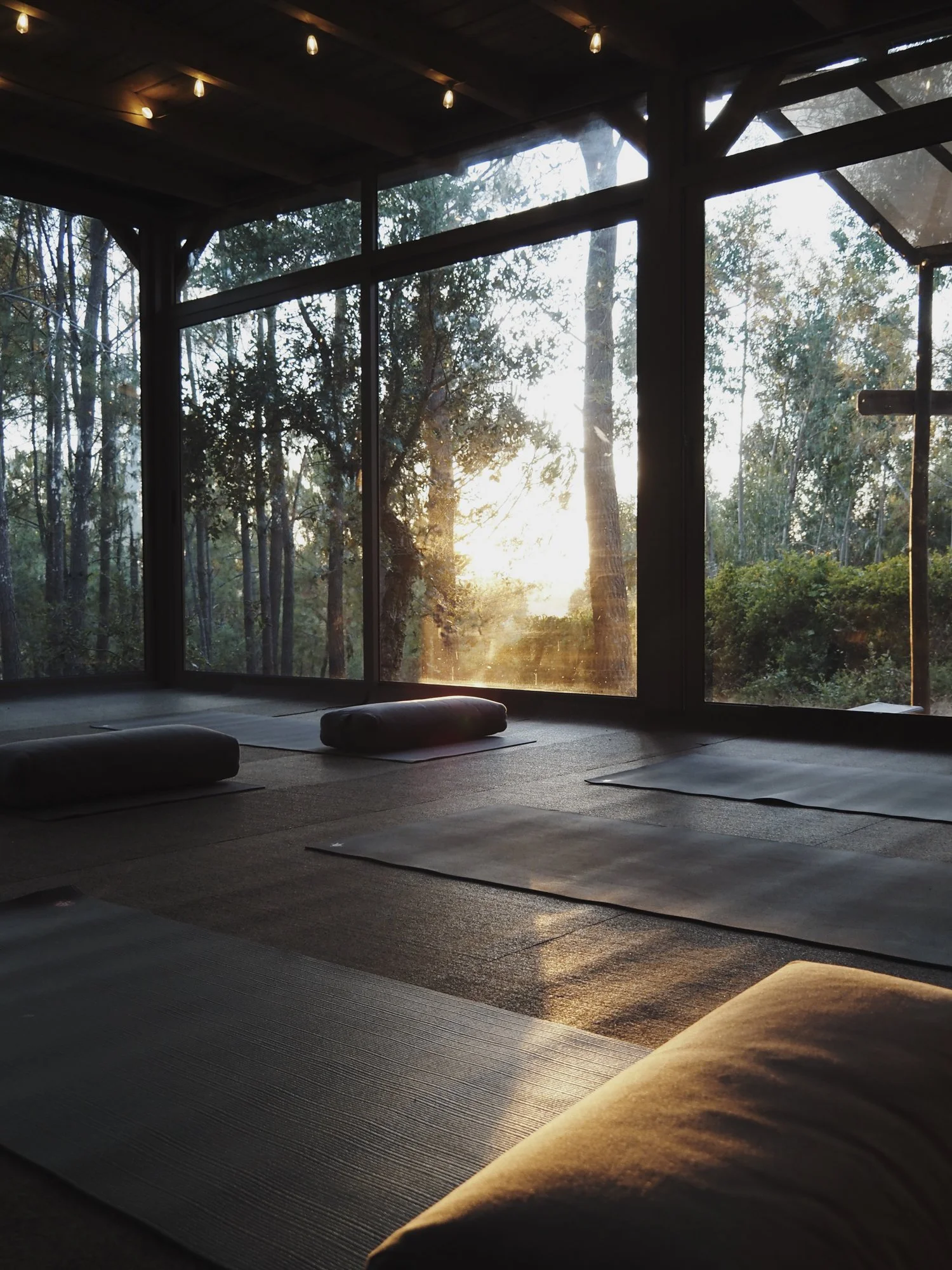 Yoga mats with bolsters in a serene room with large windows overlooking trees at sunset.