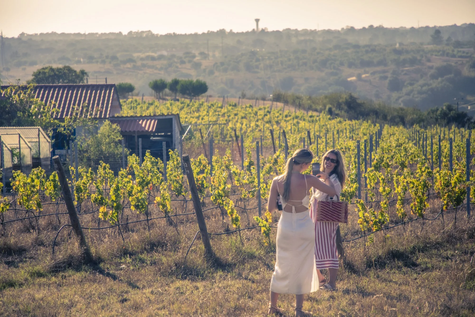 Two women in summer dresses standing in a vineyard, taking a selfie together on a sunny day with rolling hills and a water tower in the background.