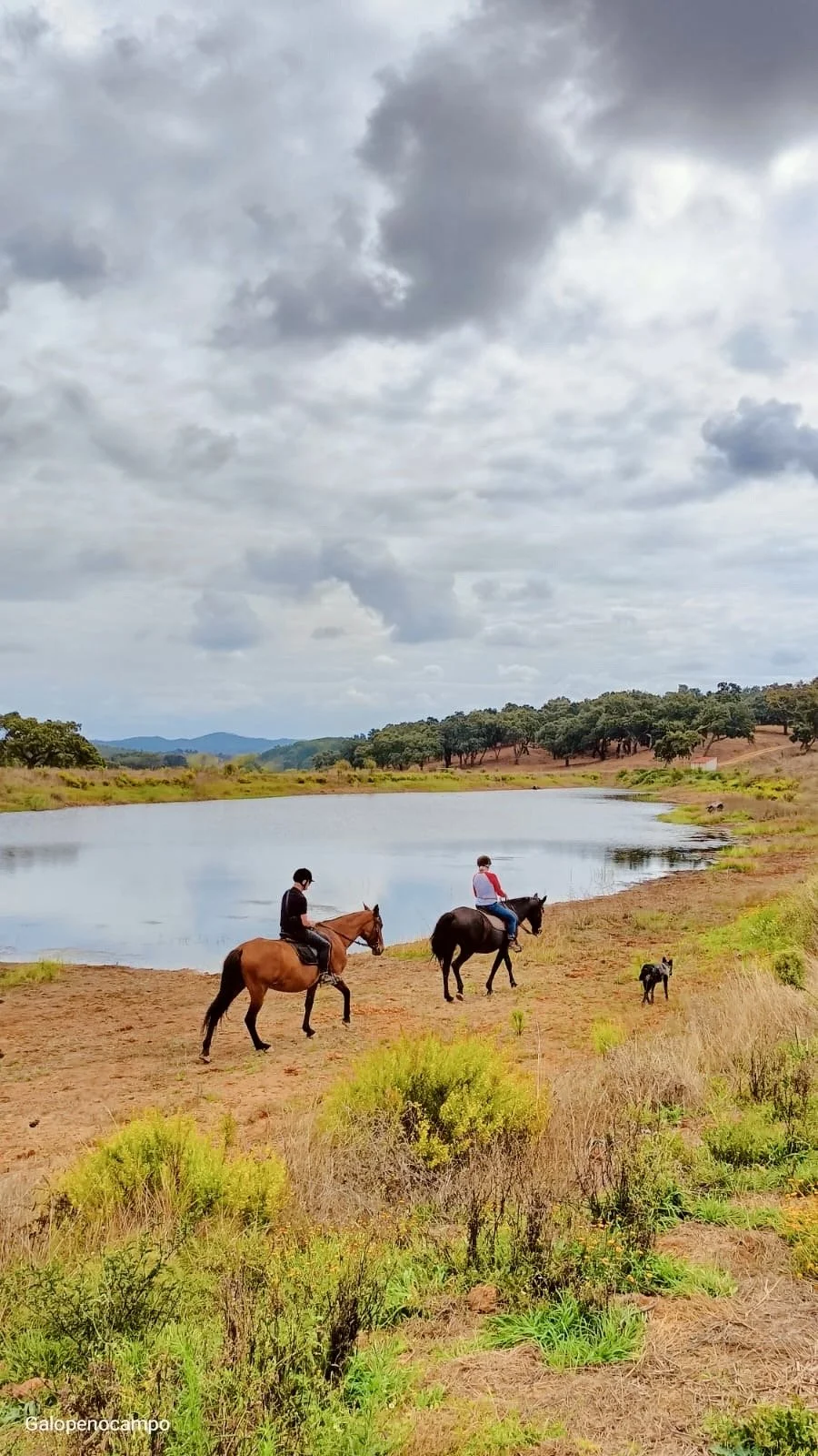 Two people riding horses near a lake in Portugal with a dog walking nearby, under a cloudy sky with rolling hills and trees in the background.