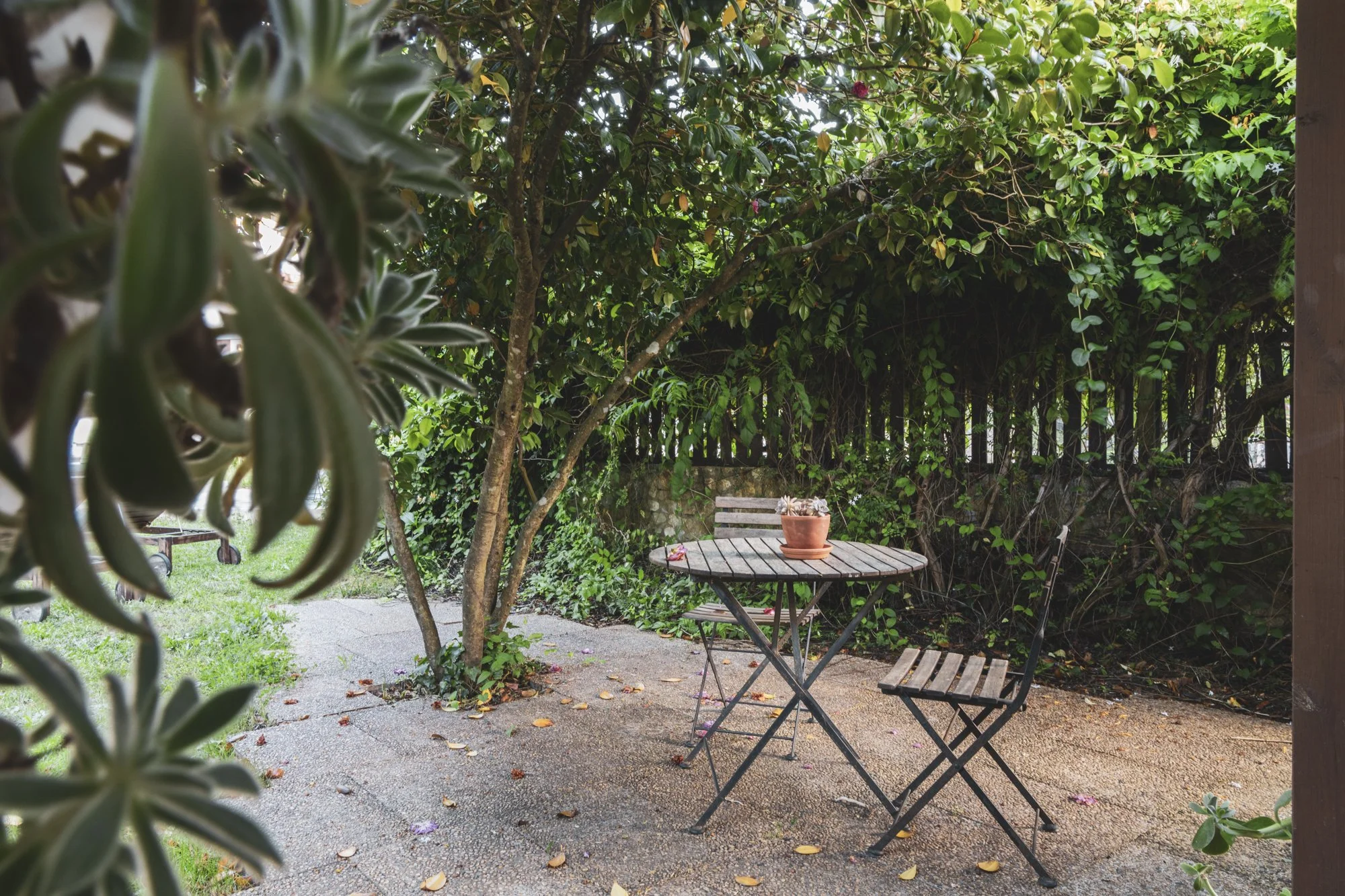 A cozy outdoor patio surrounded by lush green trees and plants, with a round wooden table and two matching chairs on a gravel surface, a terracotta flower pot with flowers on the table, and a small garden area in the background.