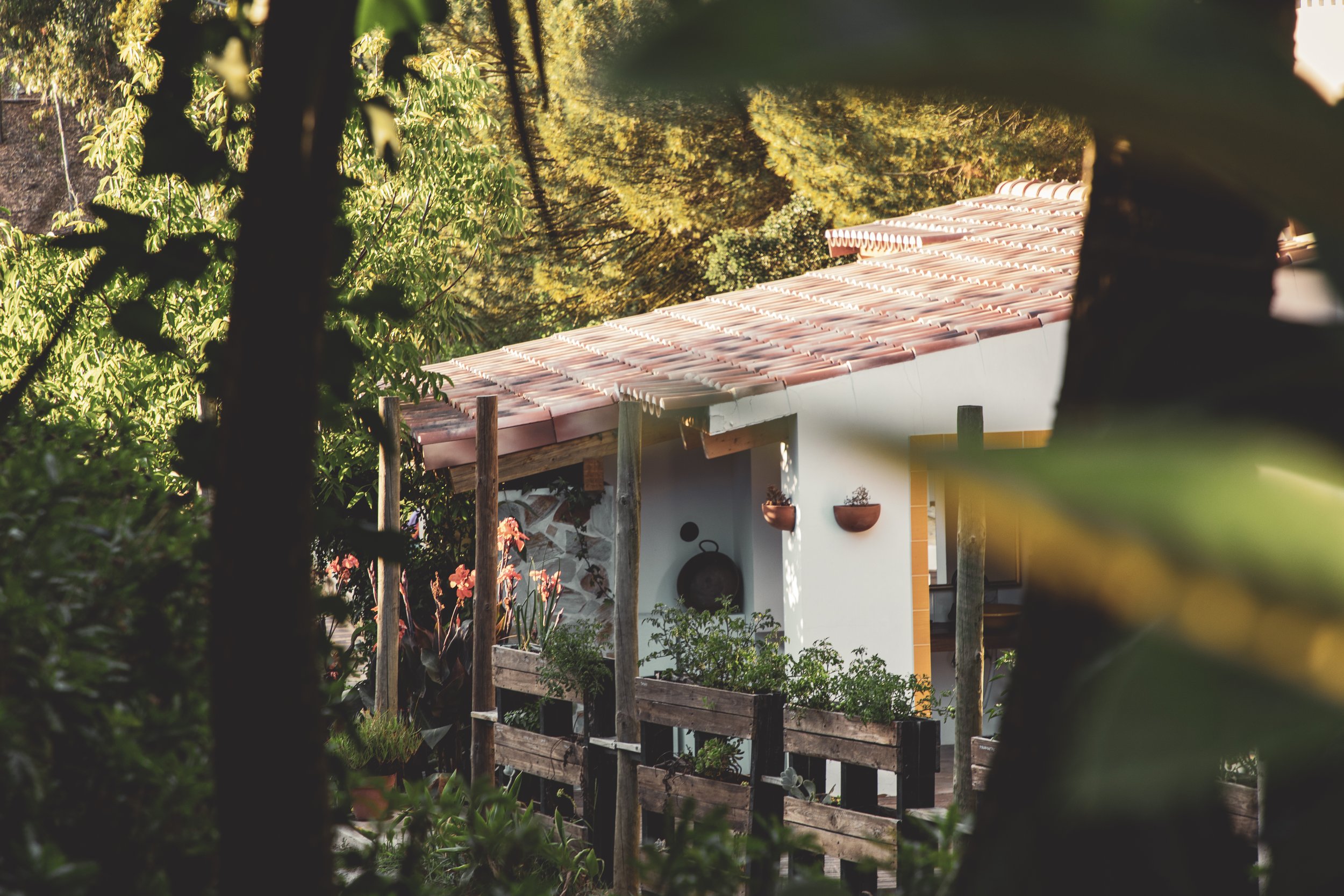 A house with a red tile roof partially visible through trees and foliage in a garden or backyard.
