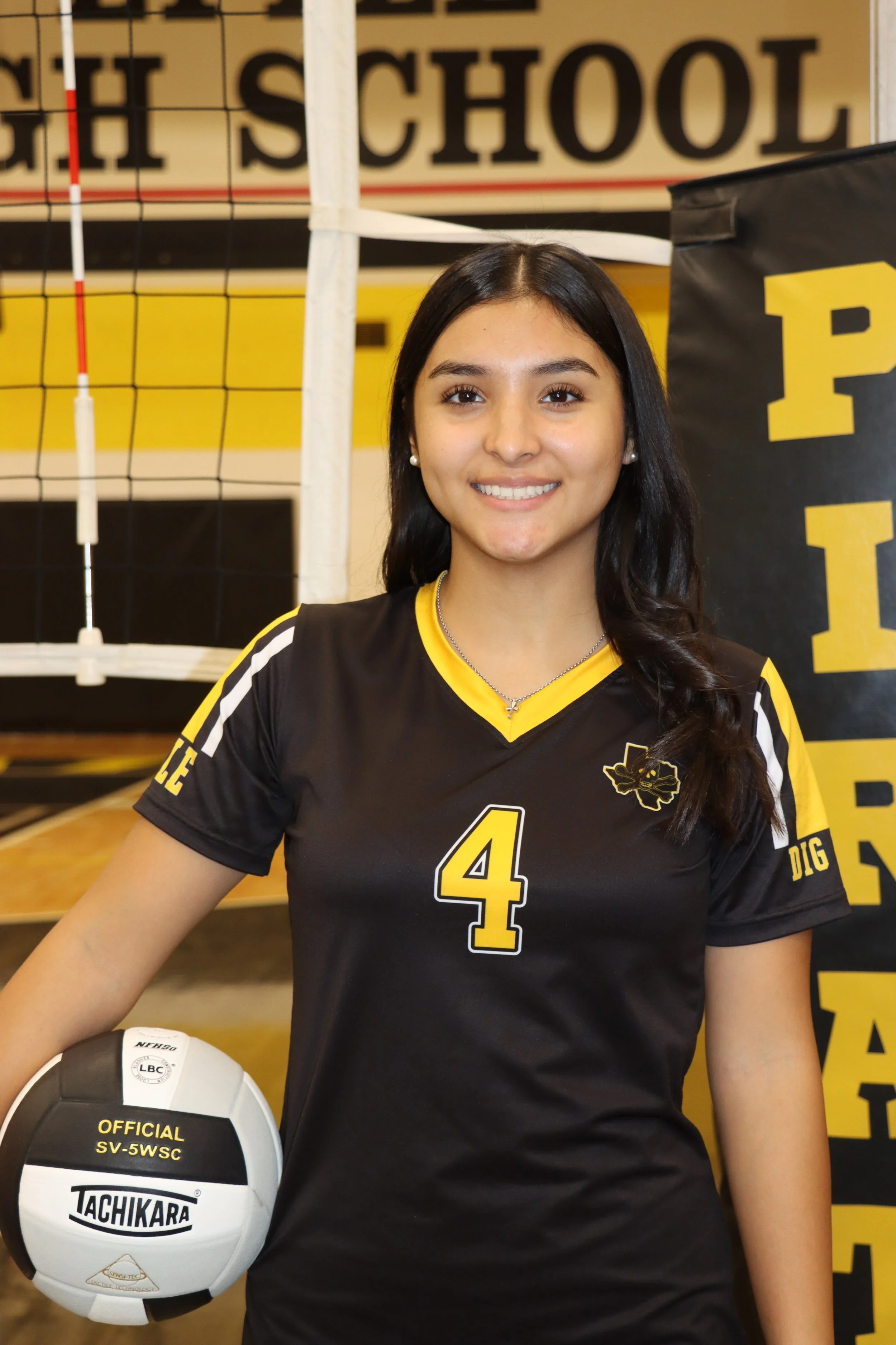 High School Volleyball Portraits