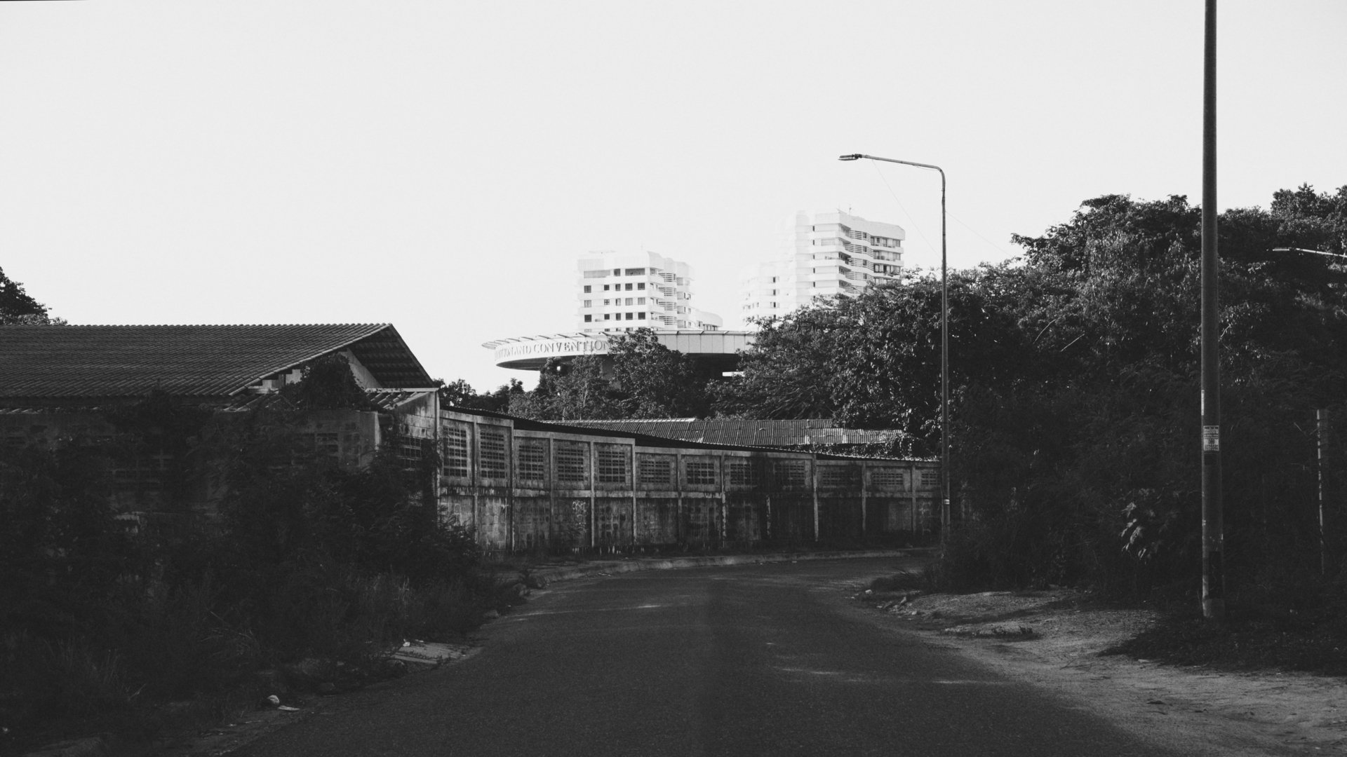 A black-and-white photo of a narrow road with overgrown bushes on both sides, a brick fence on the left, and tall streetlights, with modern high-rise buildings visible in the background.