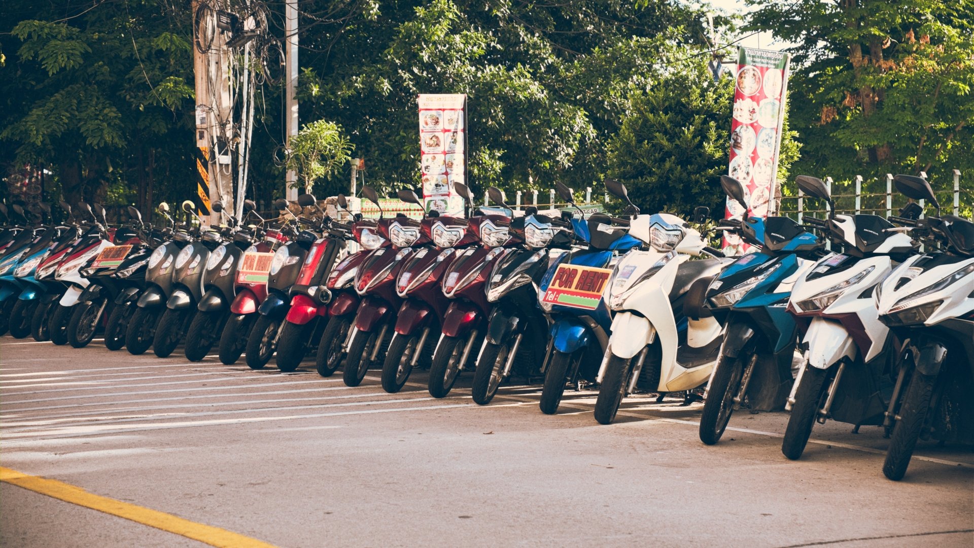 Row of motorcycles parked in a lot with signs indicating they are for rent, with green trees in the background.