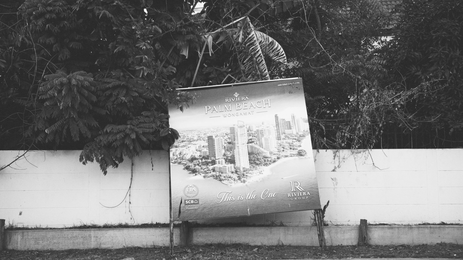 A sign advertising Riviera Palm Beach in Wongamat, featuring a skyline and beach, surrounded by dense foliage and plants.