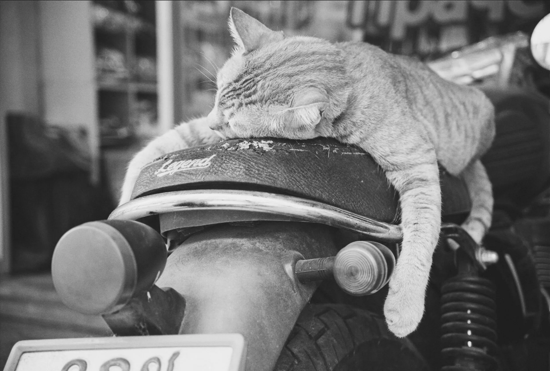 A cat asleep on a skateboard in black and white.