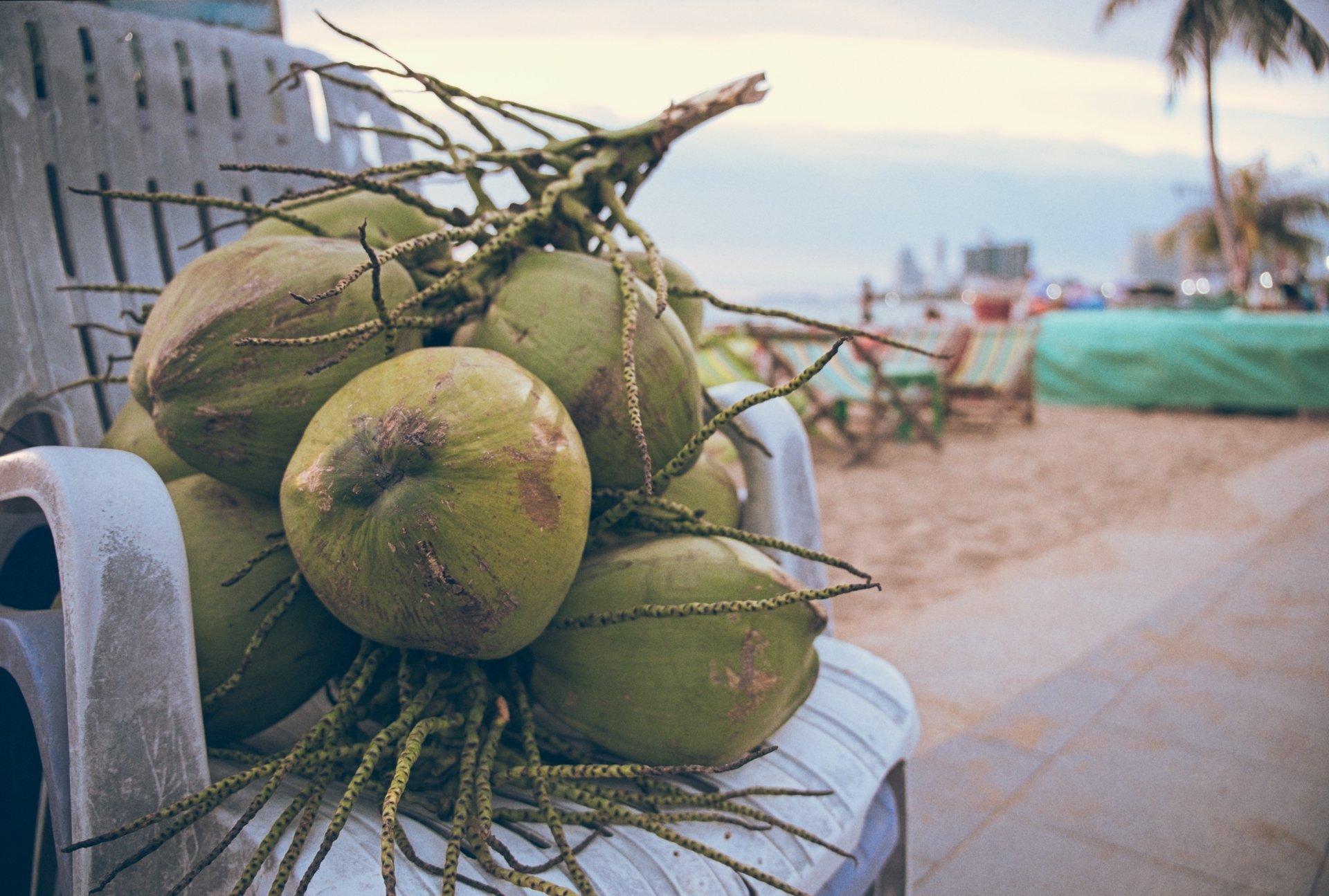 Cluster of green coconuts with brown stems on a white plastic chair at a tropical beach resort, with palm trees, lounge chairs, and the ocean in the background.