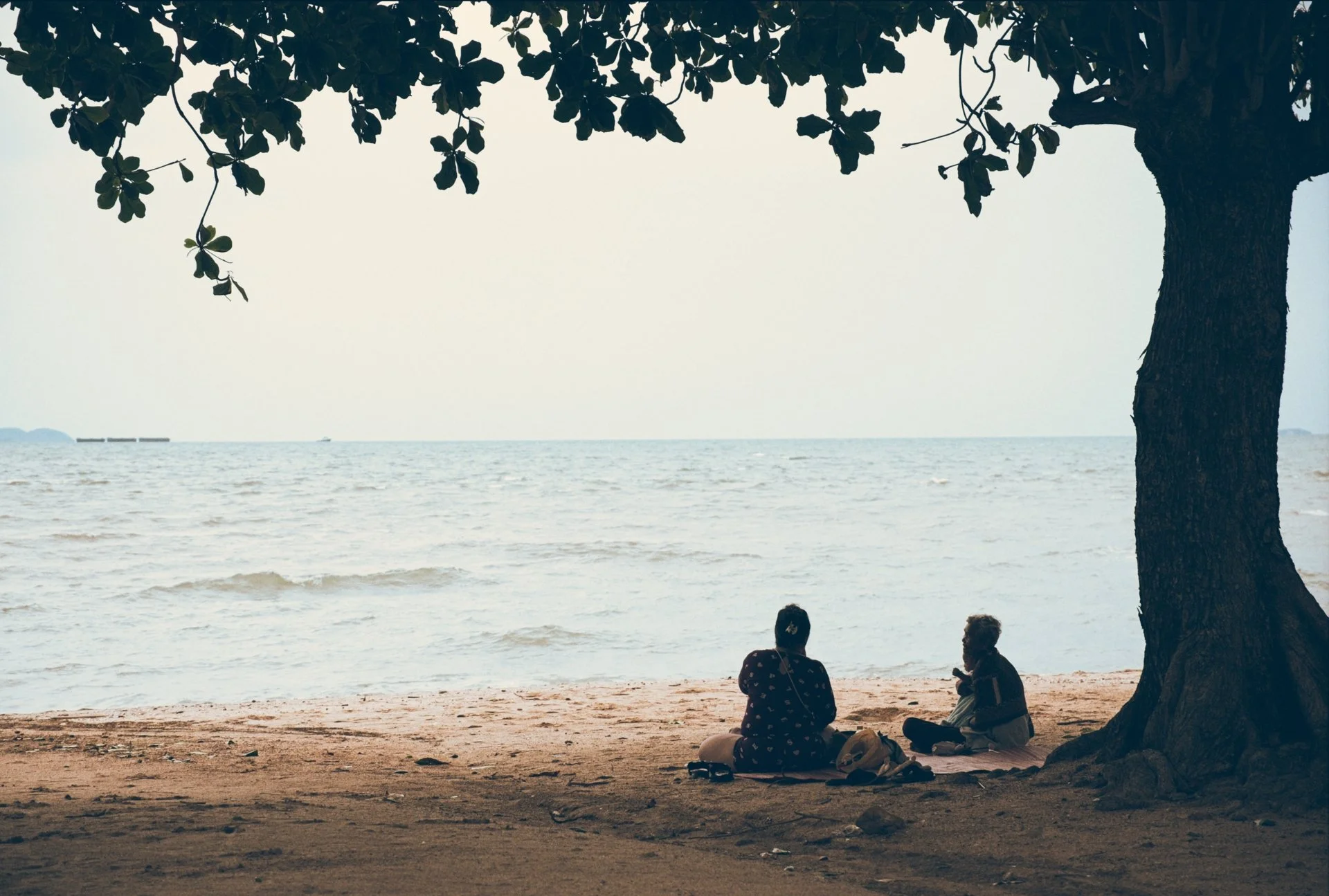 People sitting and talking on a sandy beach near the water, under a large tree.