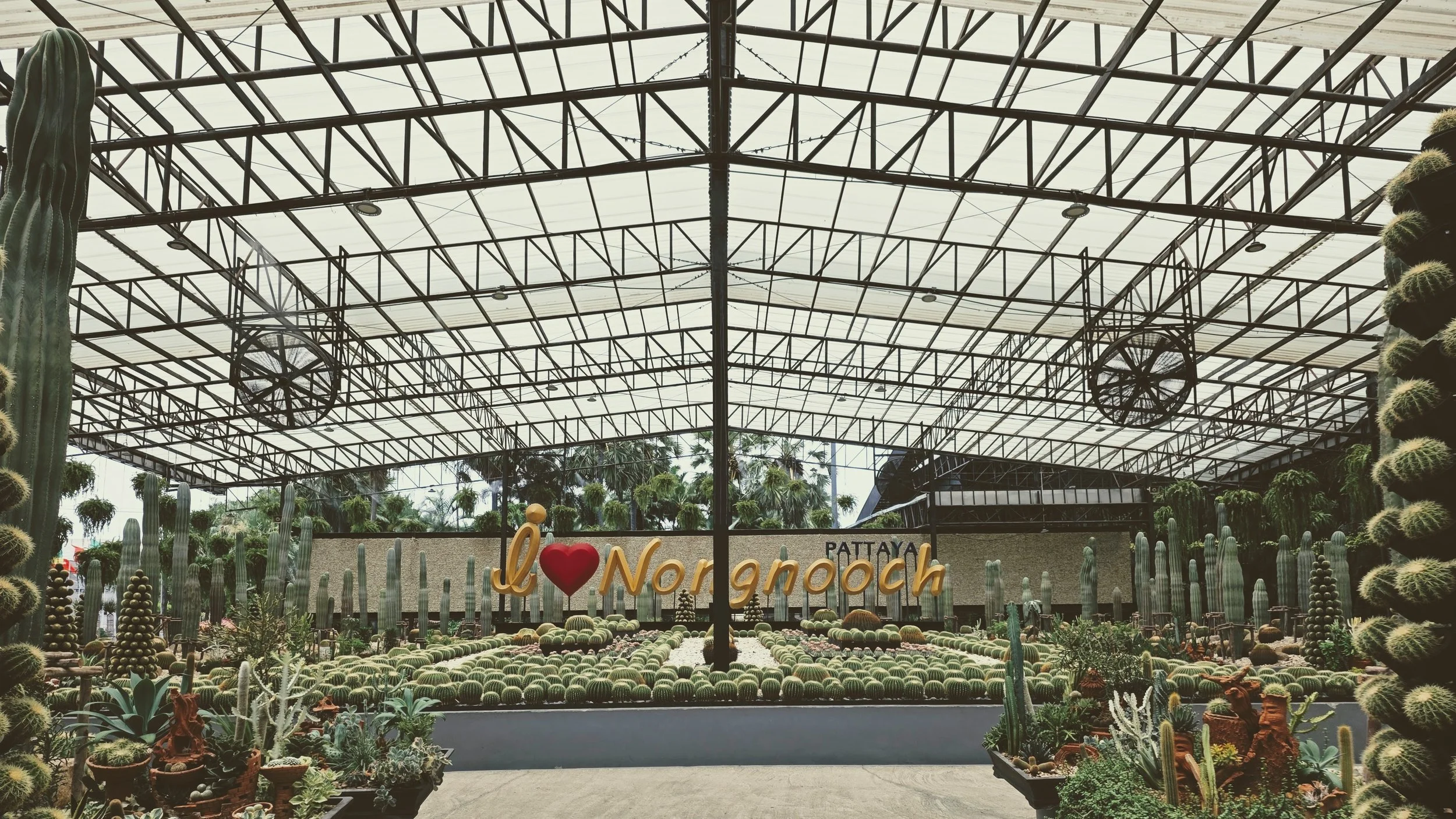A greenhouse filled with various cacti and succulents beneath a large metal and glass roof. There is a sign in the center that says 'I love NongNooch.'