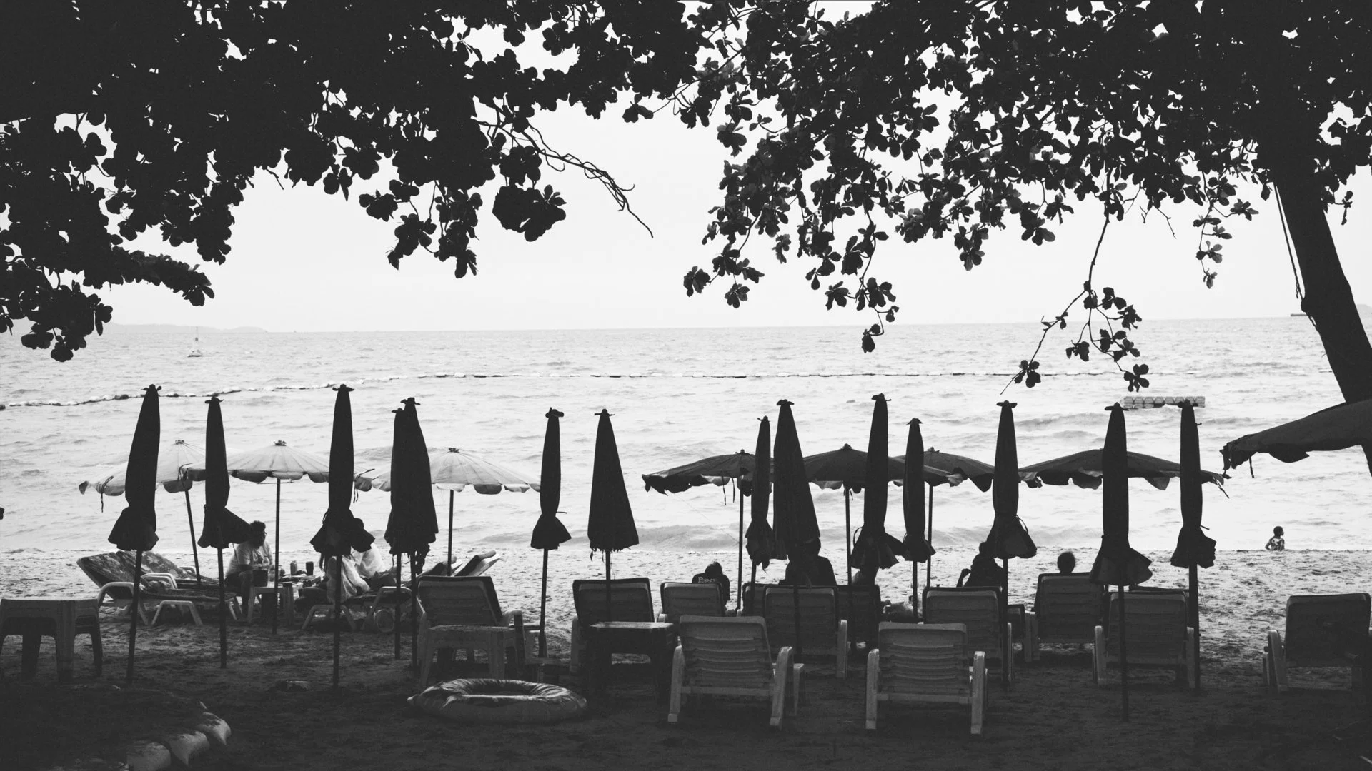 Black-and-white photo of a beach scene with umbrellas and lounge chairs in the foreground, and the ocean with a boat in the background framed by tree branches.