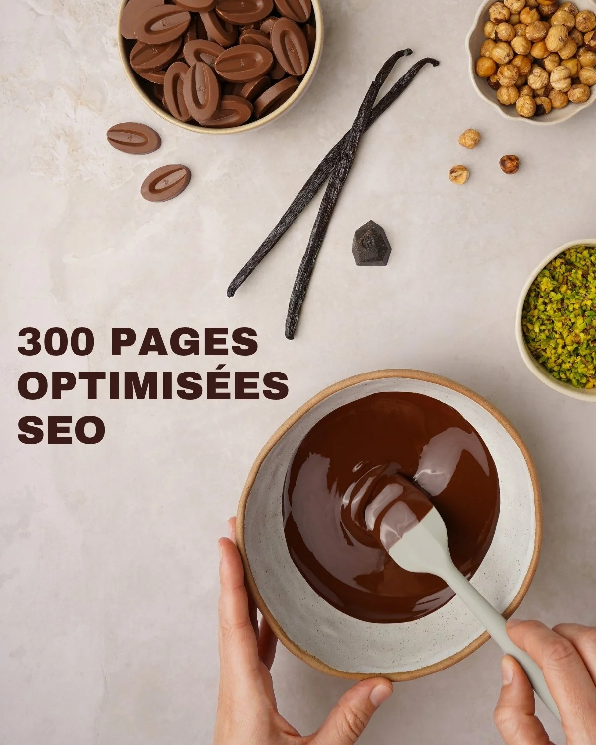 10 300 pages optimisées SEO.jpg