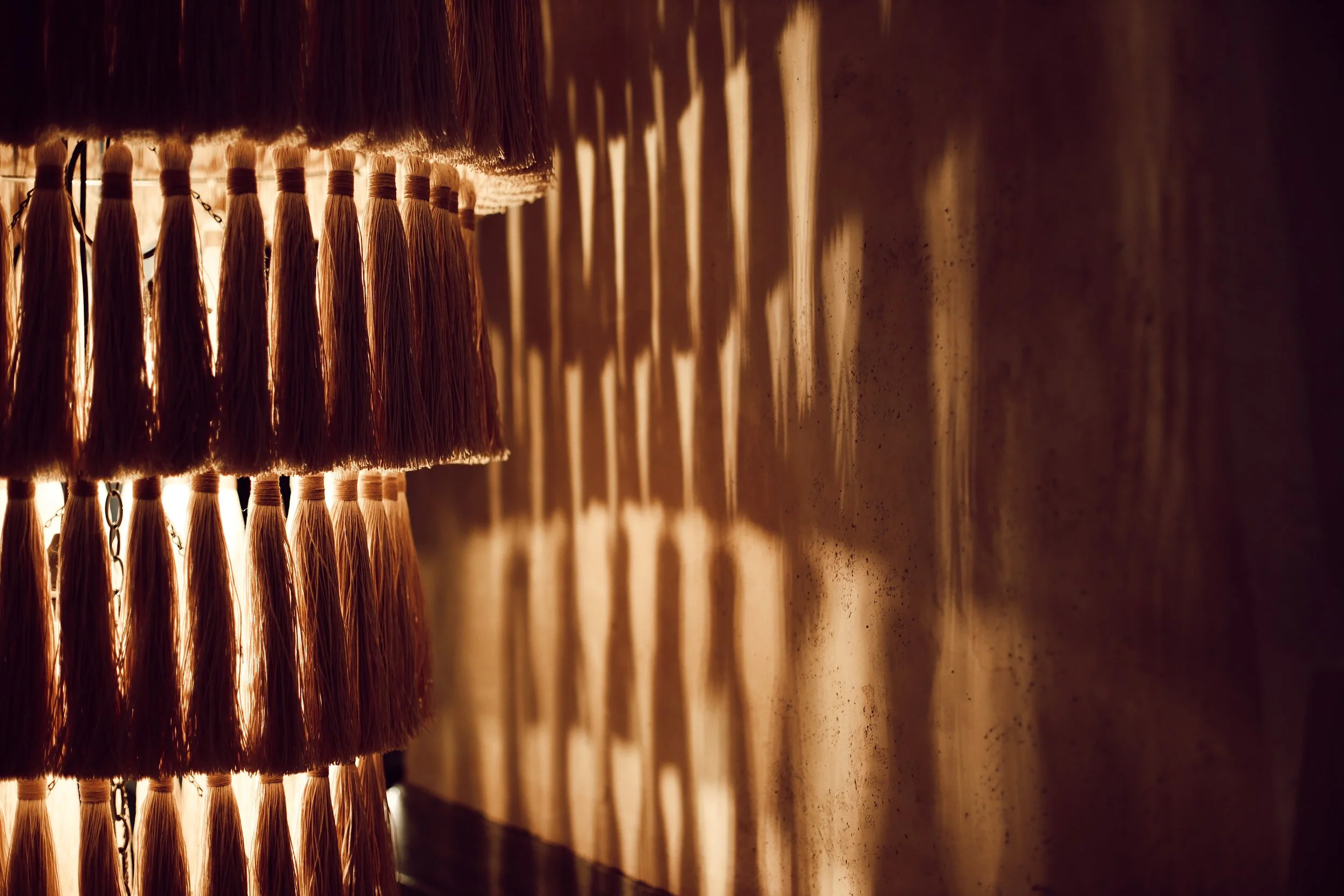 Close-up view of hanging dried broomcorn from a ceiling, with shadows cast on the wall and floor.