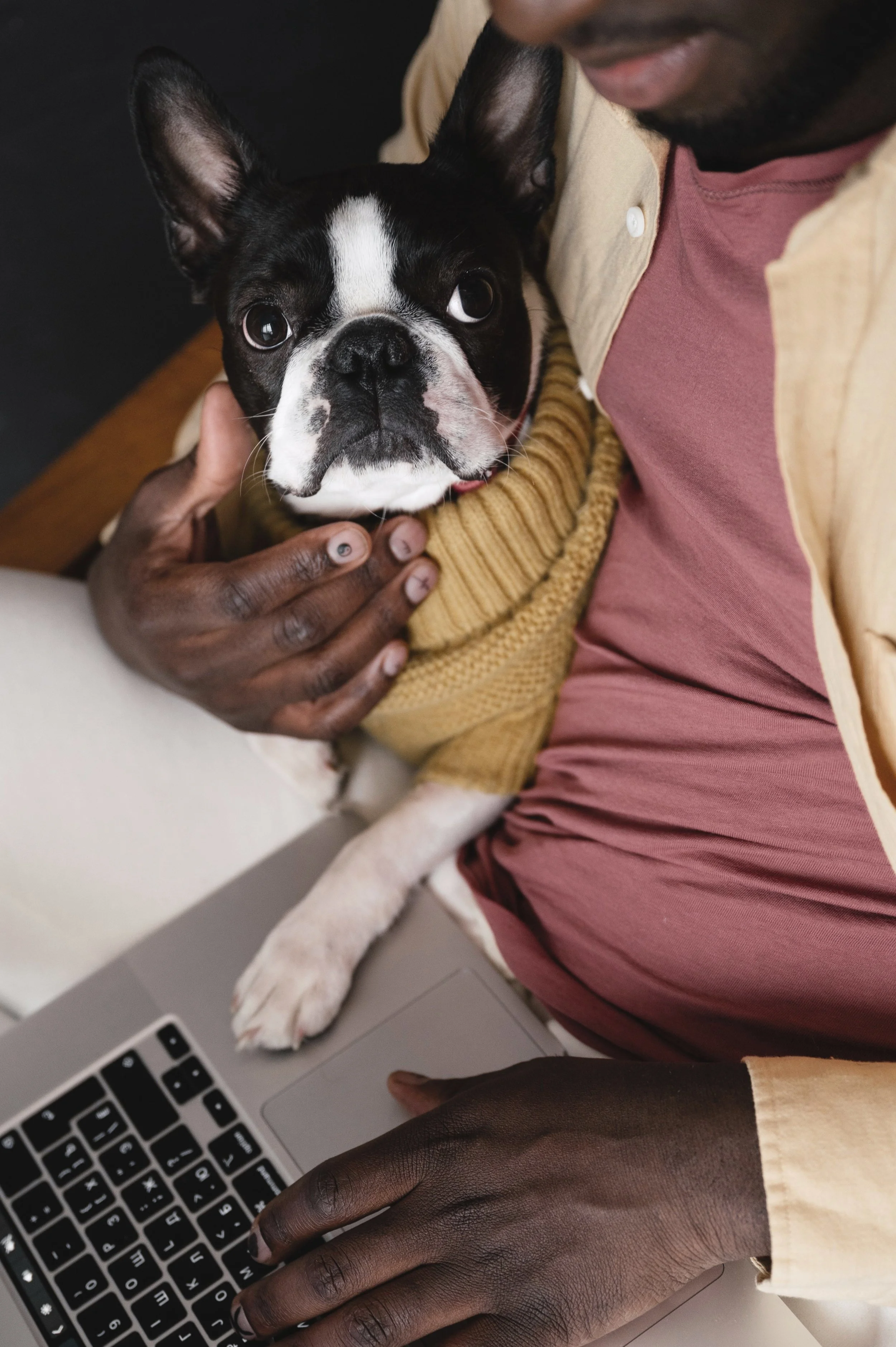 Person holding a small dog while working at their desk